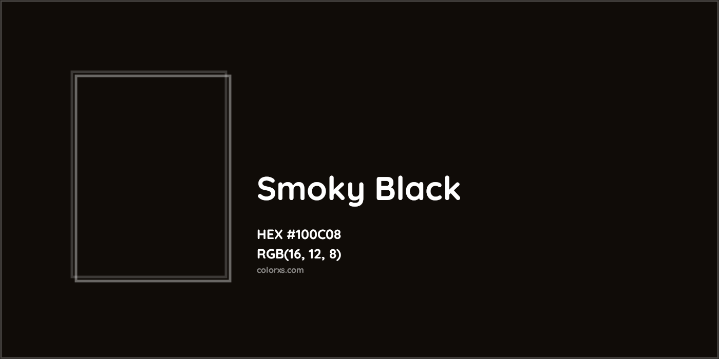 HEX #100C08 Smoky Black Color - Color Code