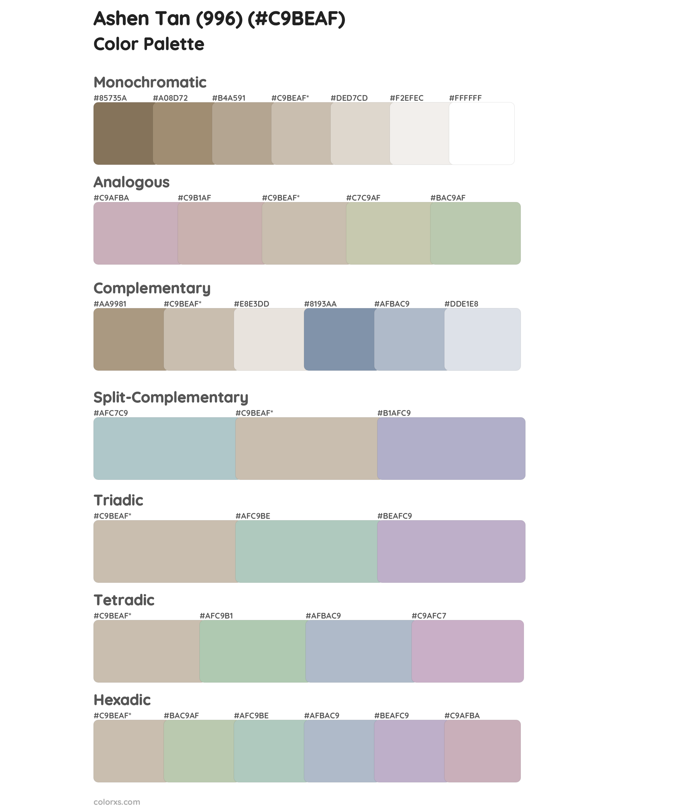 Ashen Tan (996) Color Scheme Palettes