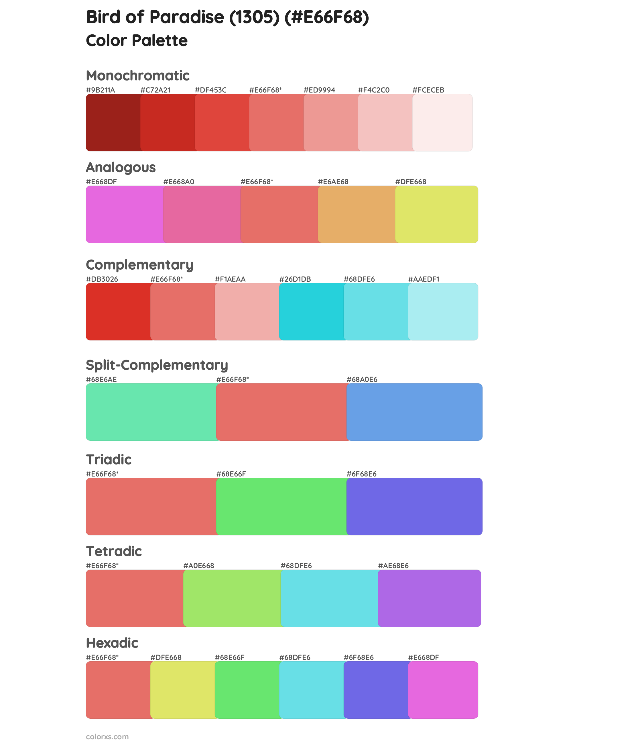 Bird of Paradise (1305) Color Scheme Palettes