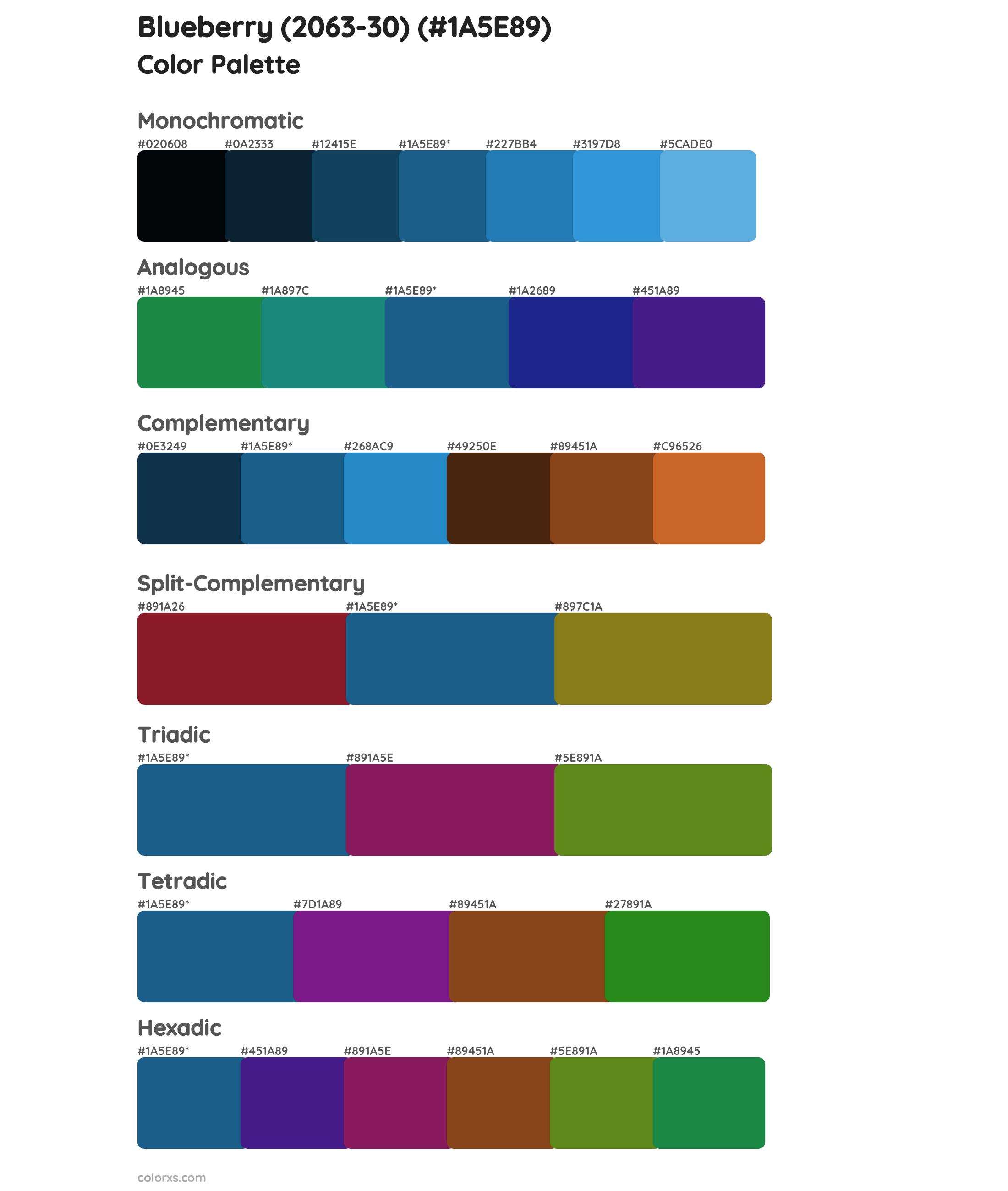 Blueberry (2063-30) Color Scheme Palettes