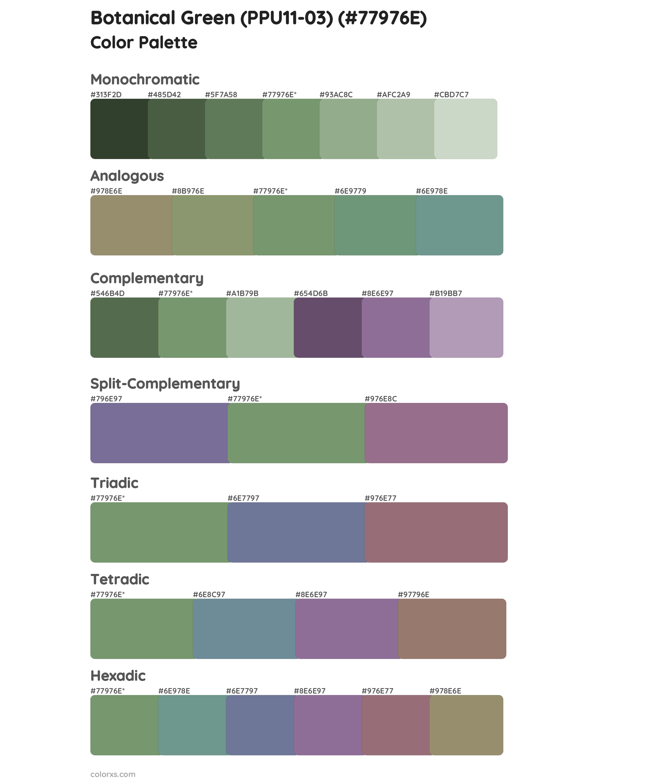 Botanical Green (PPU11-03) Color Scheme Palettes