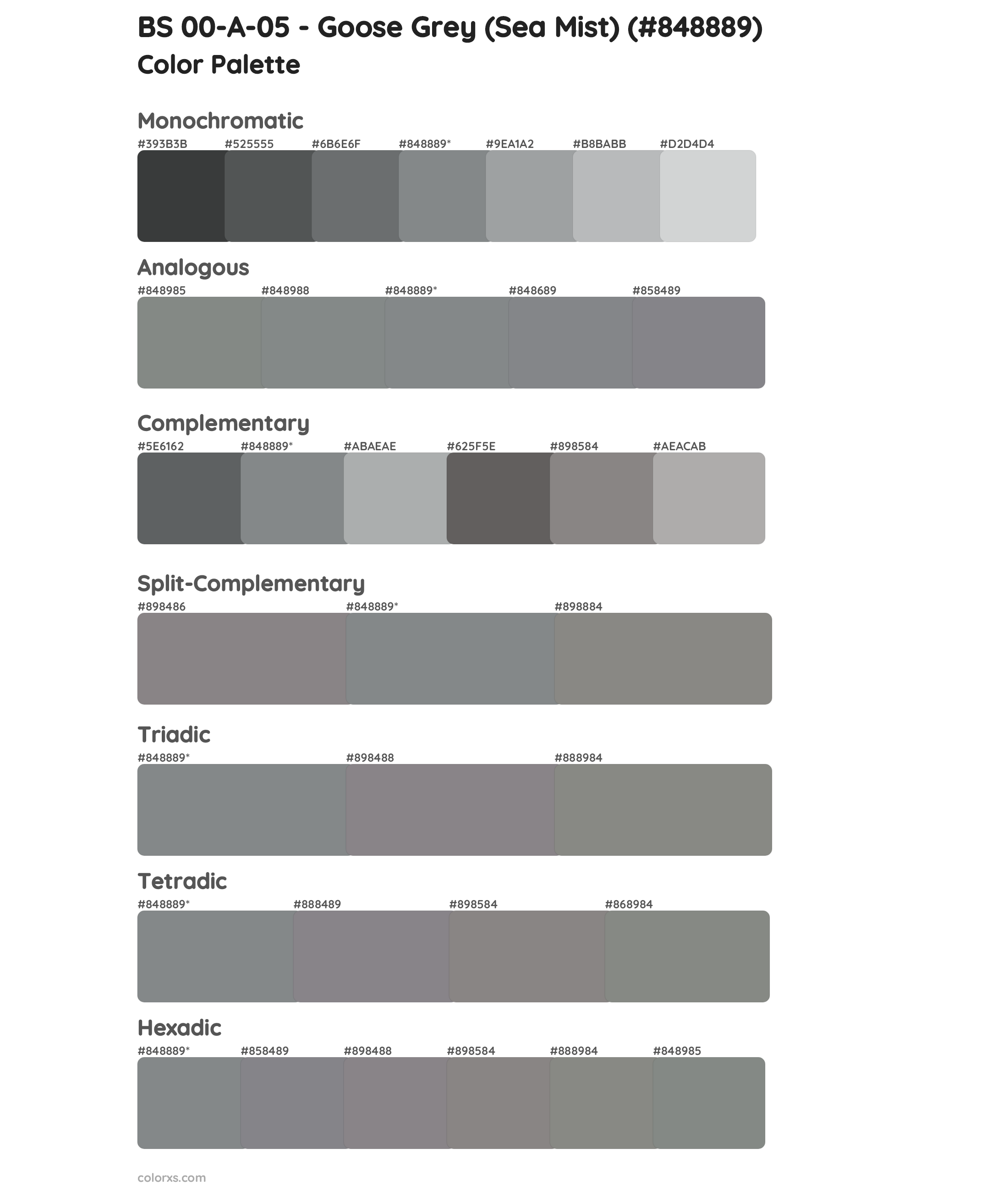 BS 00-A-05 - Goose Grey (Sea Mist) Color Scheme Palettes