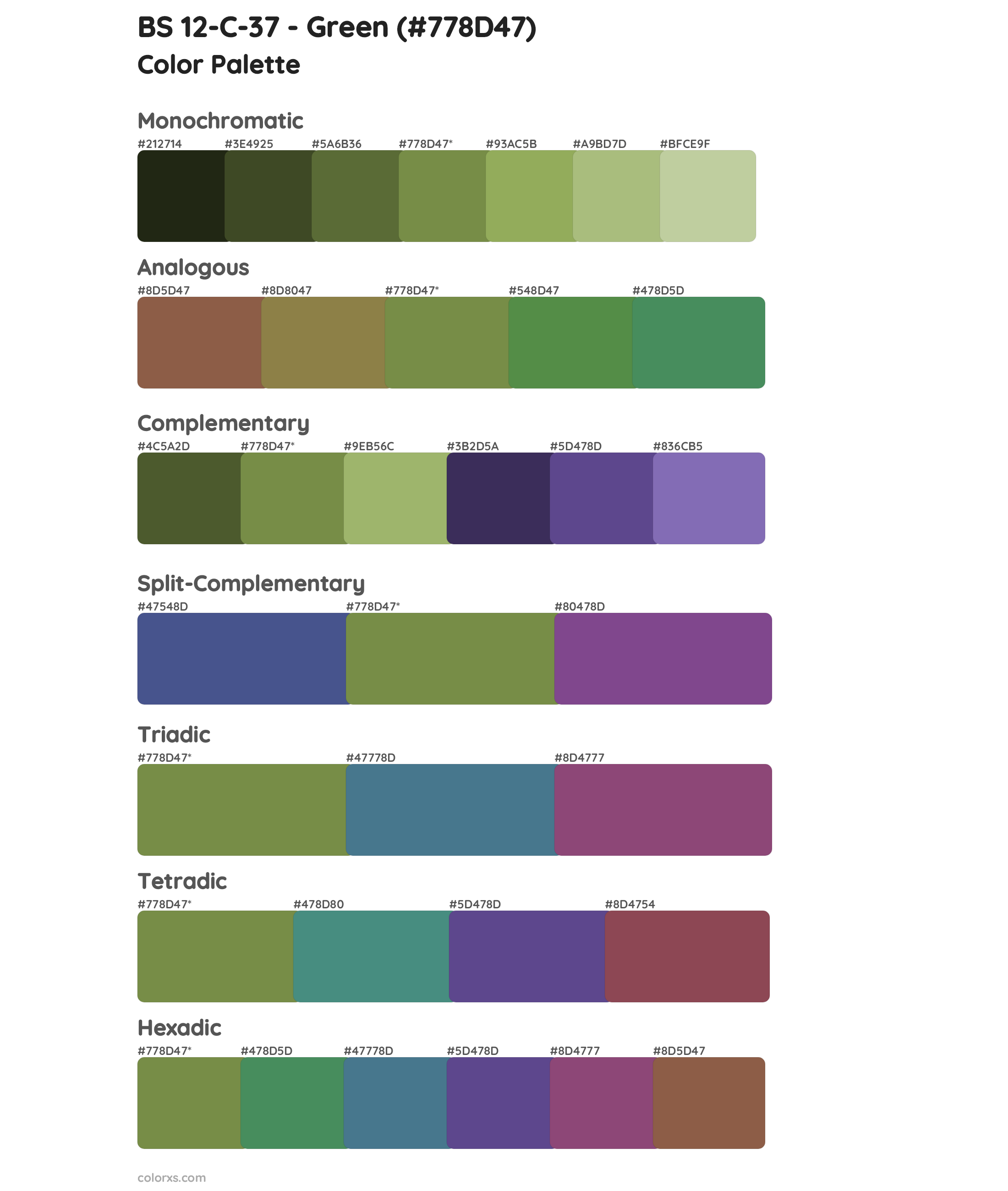 BS 12-C-37 - Green Color Scheme Palettes