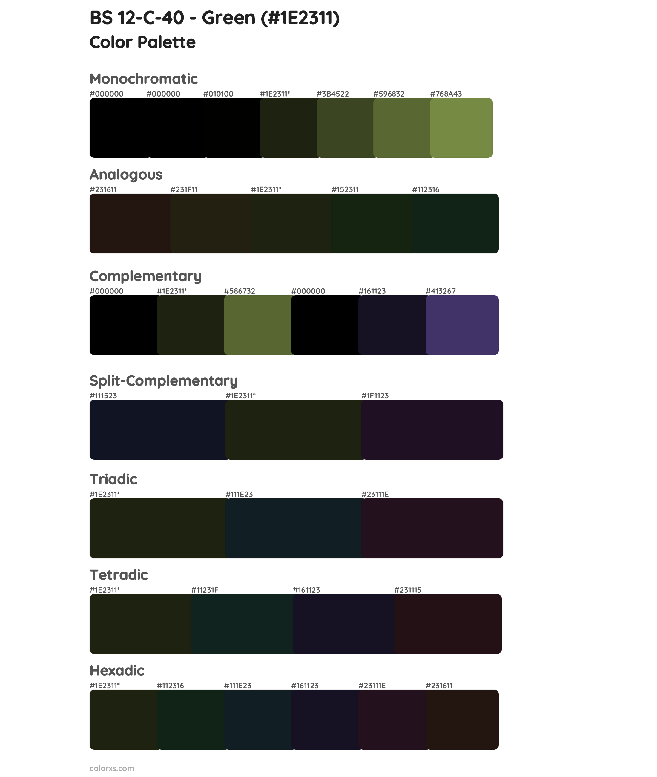 BS 12-C-40 - Green Color Scheme Palettes