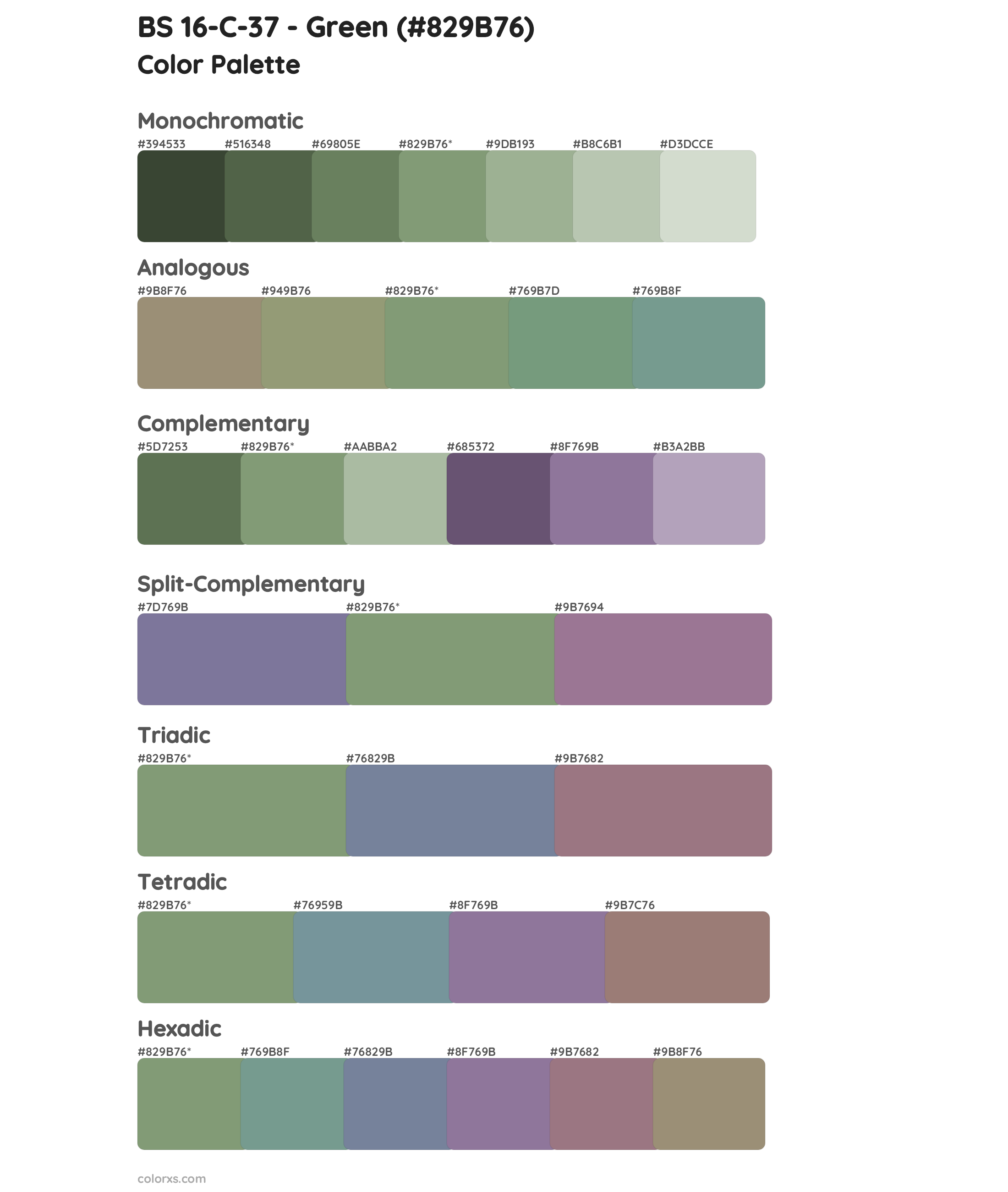 BS 16-C-37 - Green Color Scheme Palettes