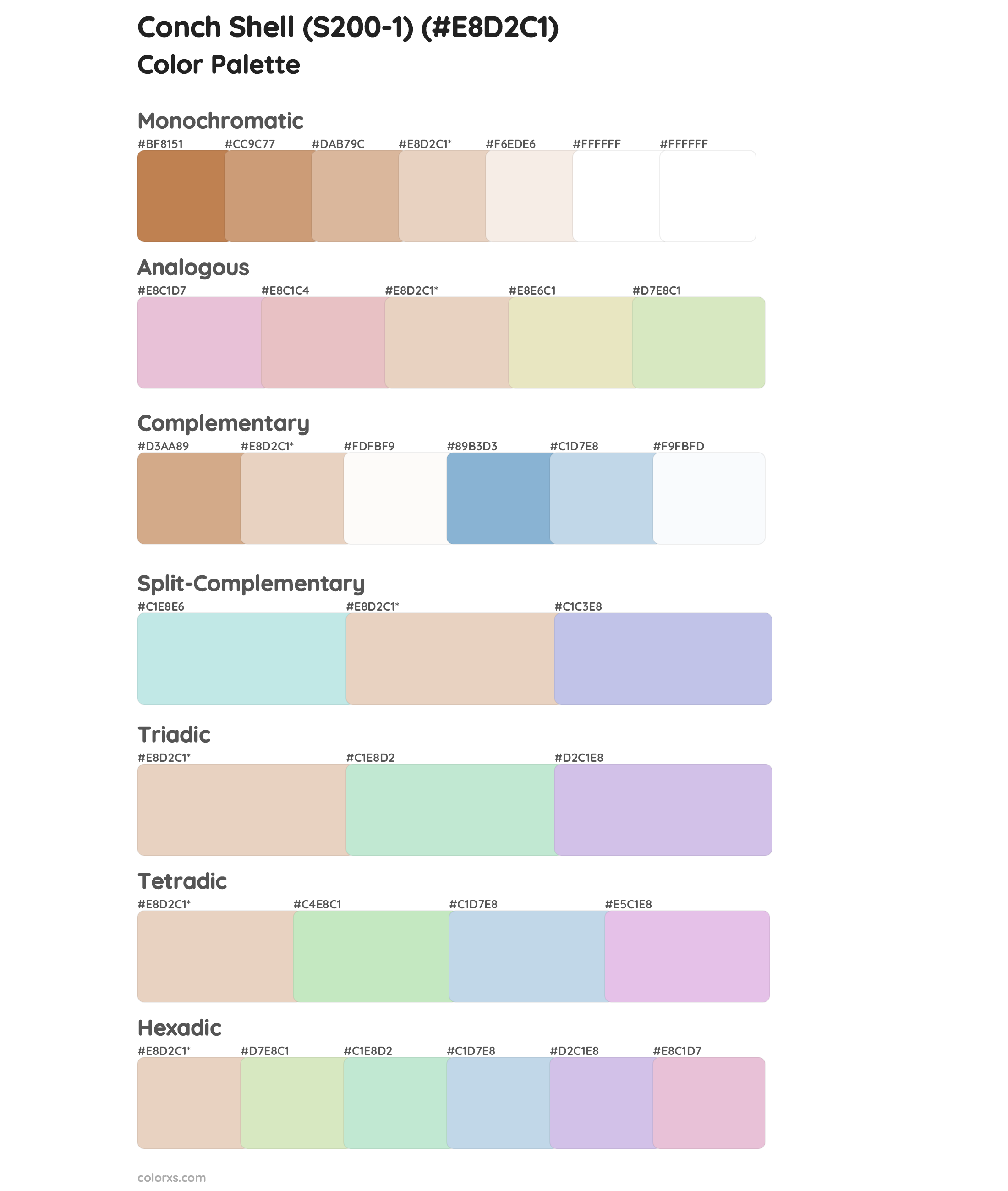 Conch Shell (S200-1) Color Scheme Palettes