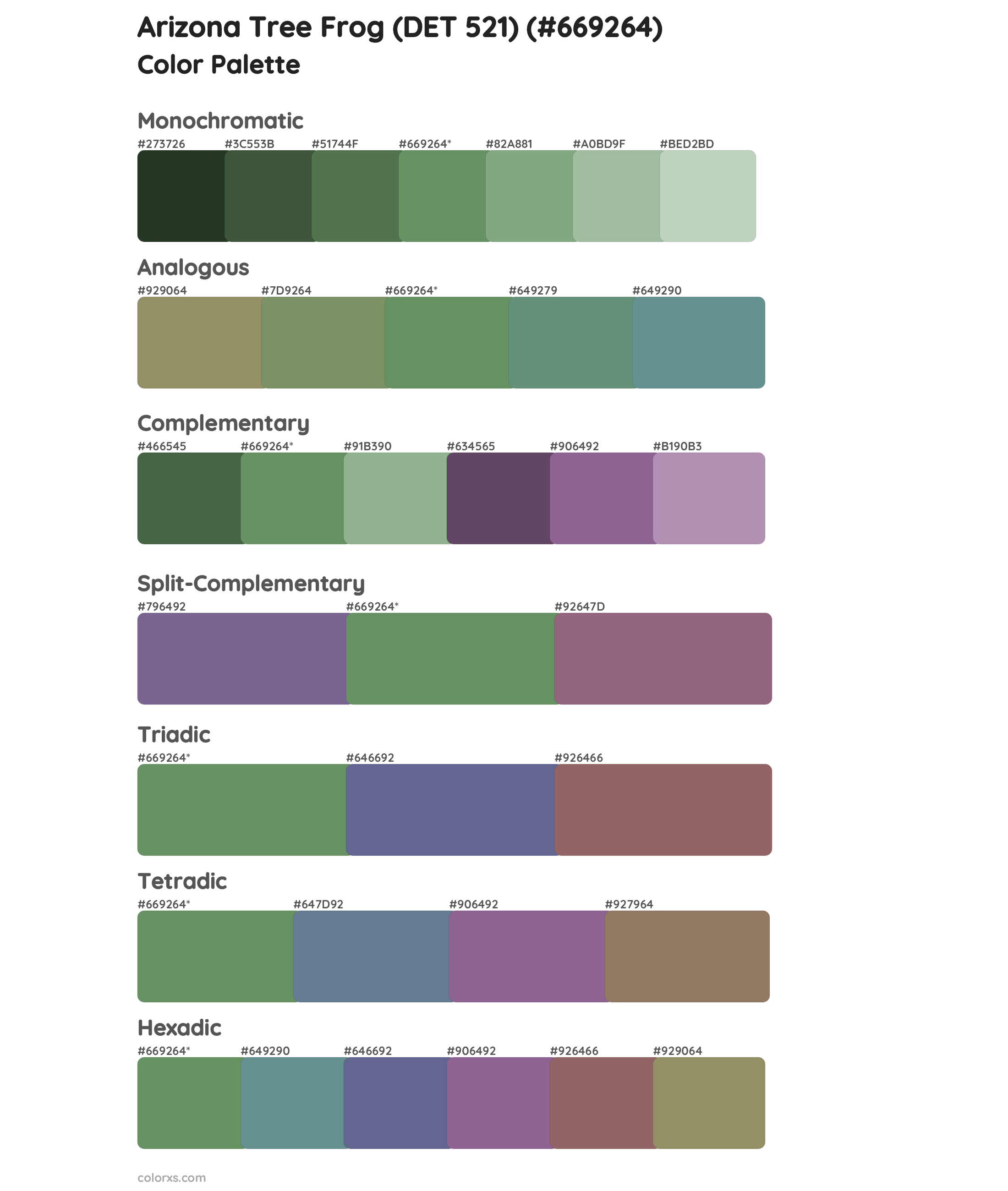 Arizona Tree Frog (DET 521) Color Scheme Palettes