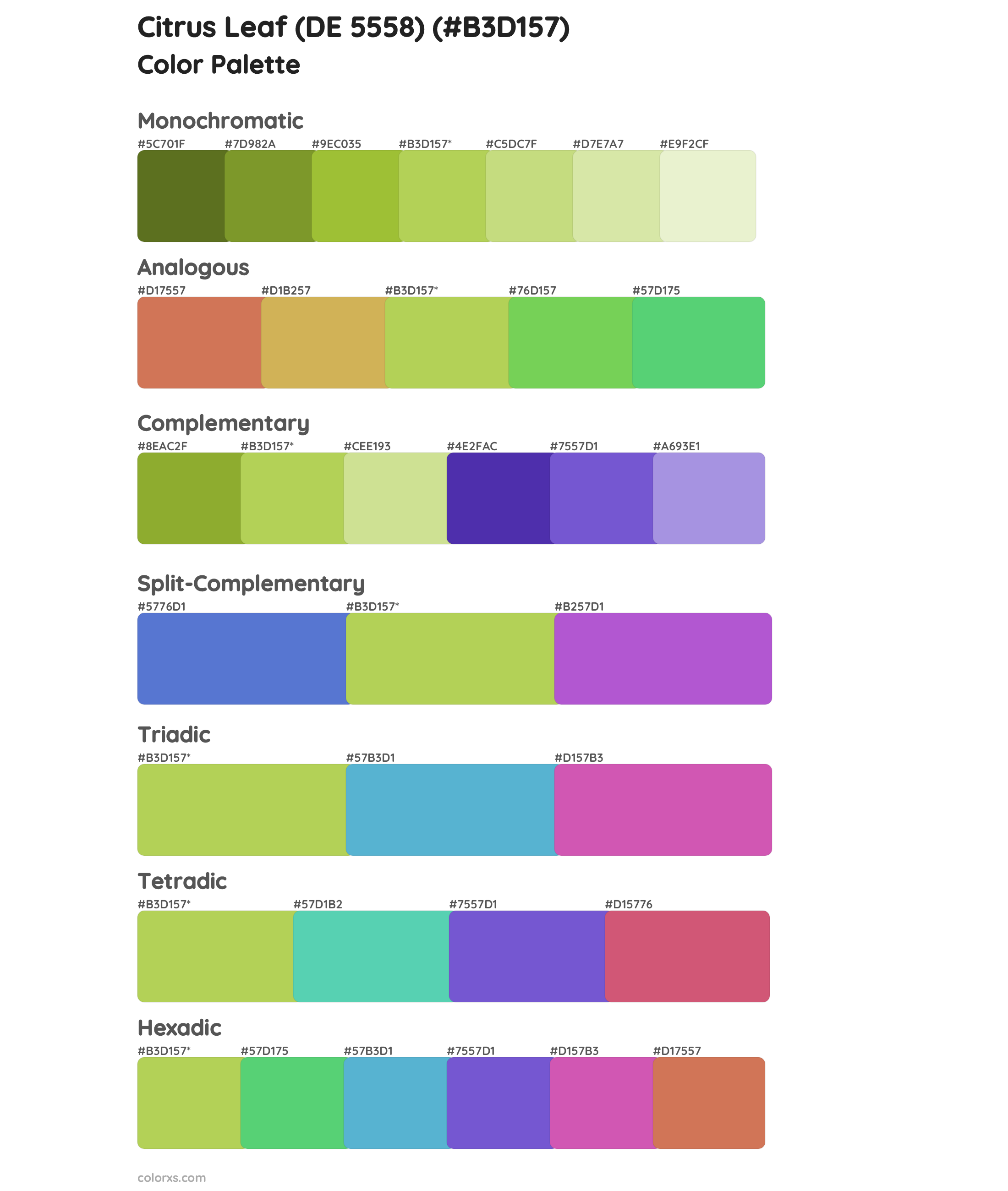 Citrus Leaf (DE 5558) Color Scheme Palettes