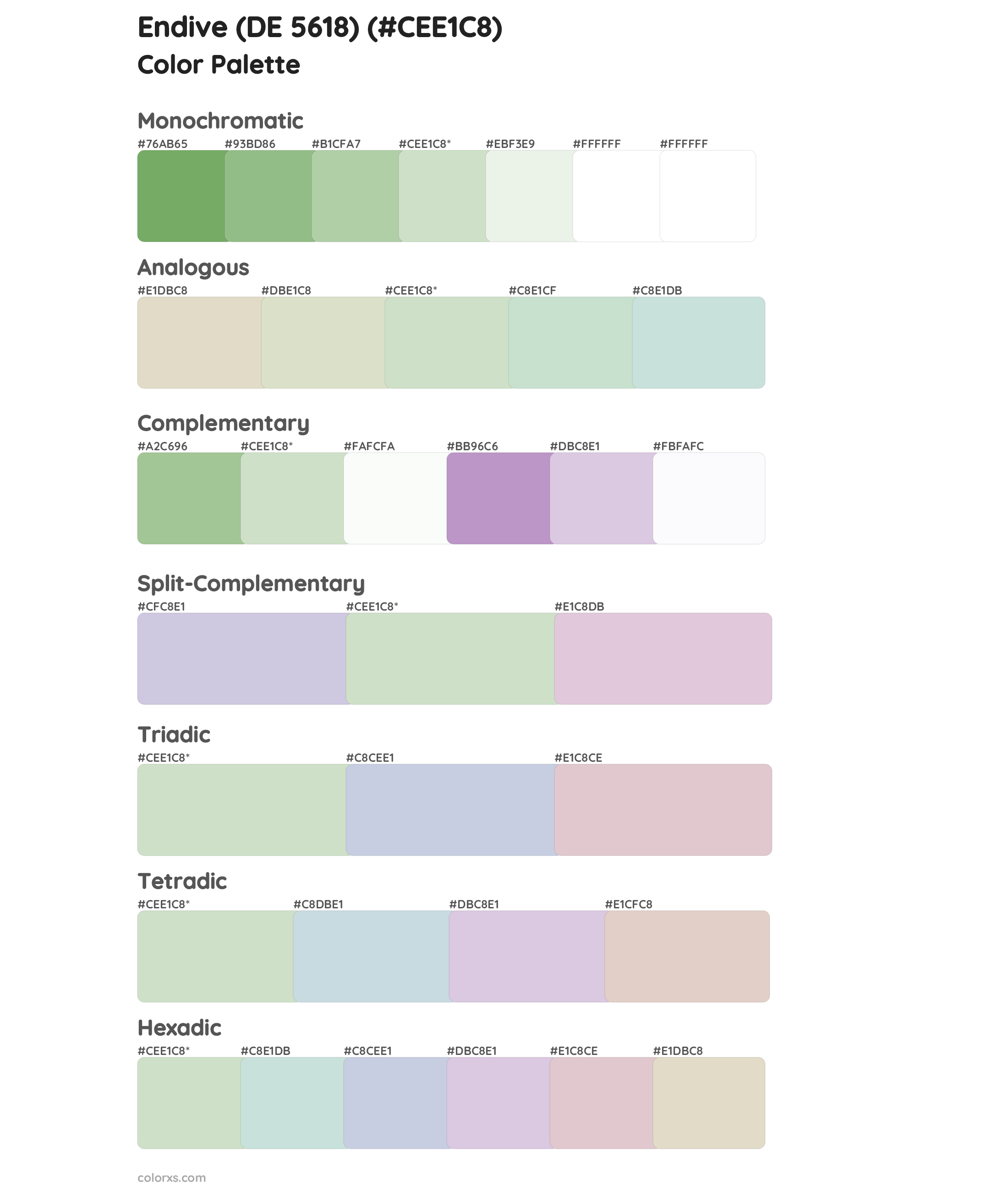 Endive (DE 5618) Color Scheme Palettes