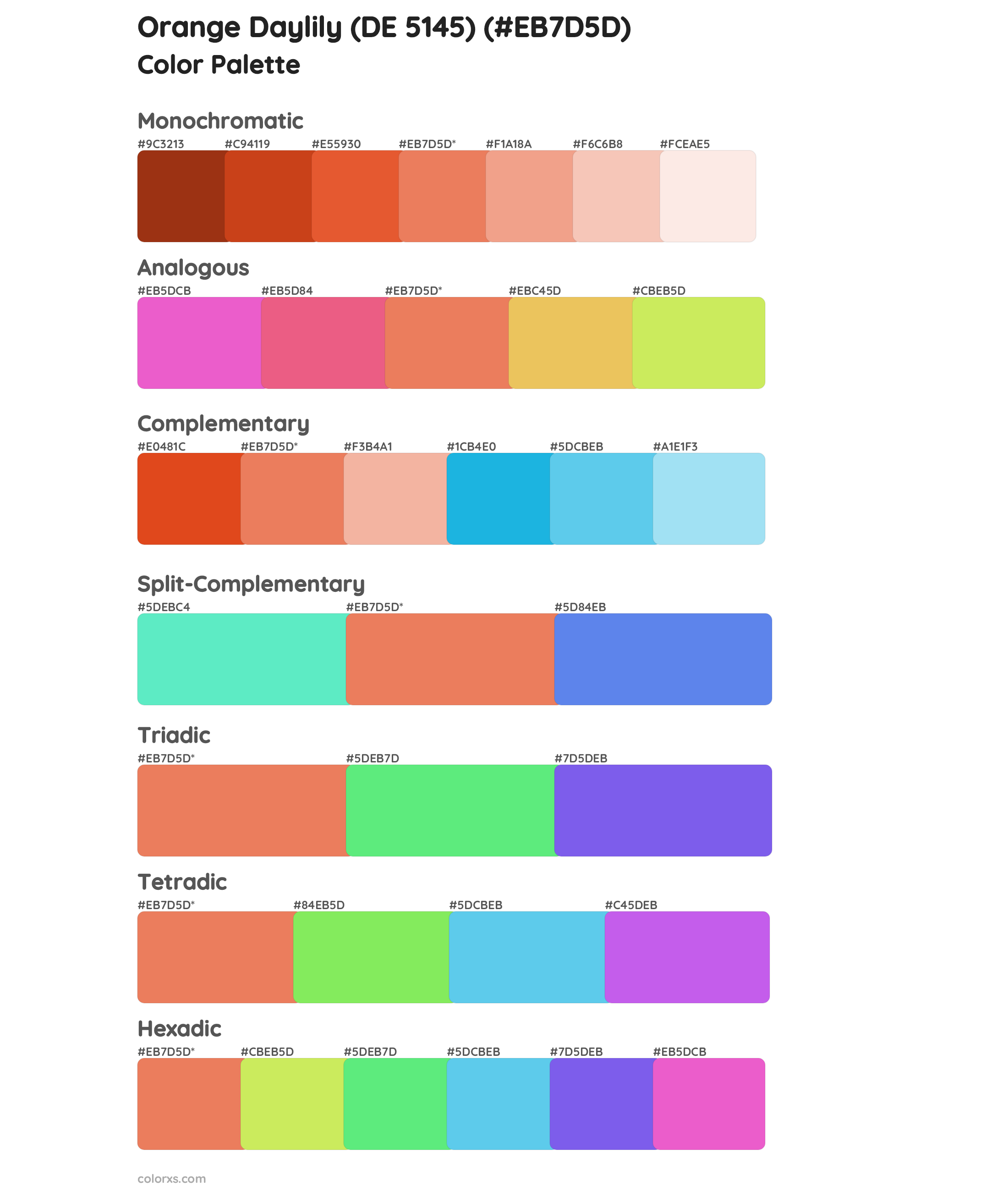 Orange Daylily (DE 5145) Color Scheme Palettes