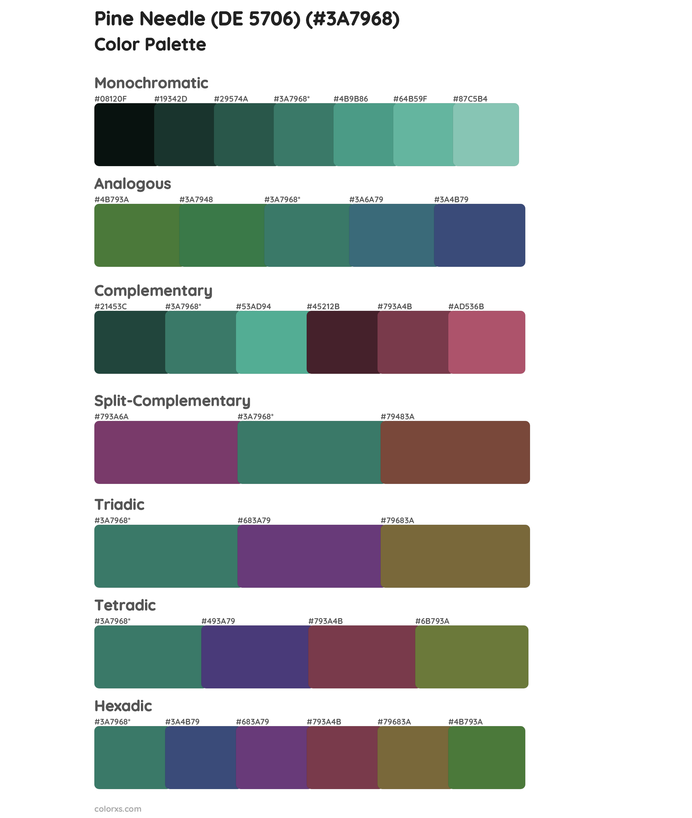 Pine Needle (DE 5706) Color Scheme Palettes