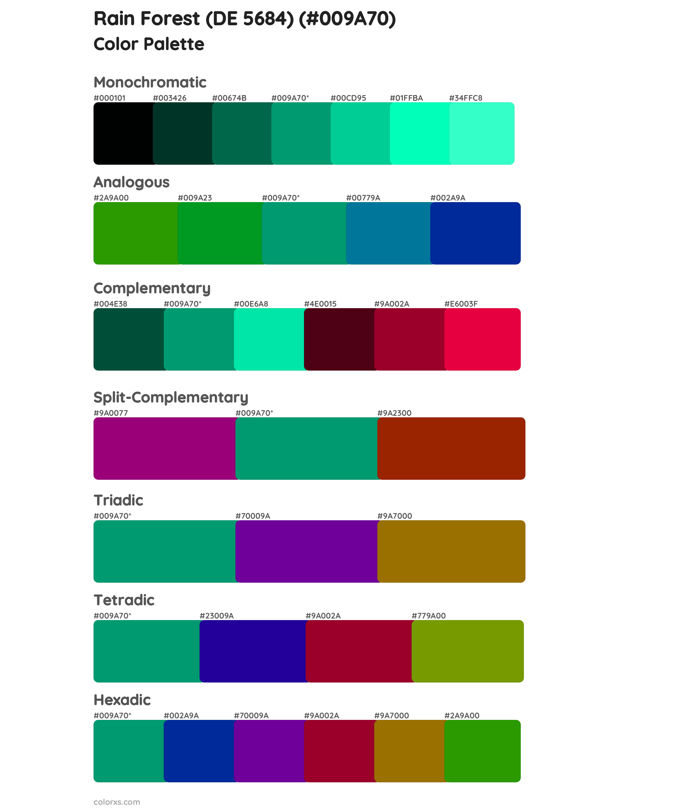 Rain Forest (DE 5684) Color Scheme Palettes