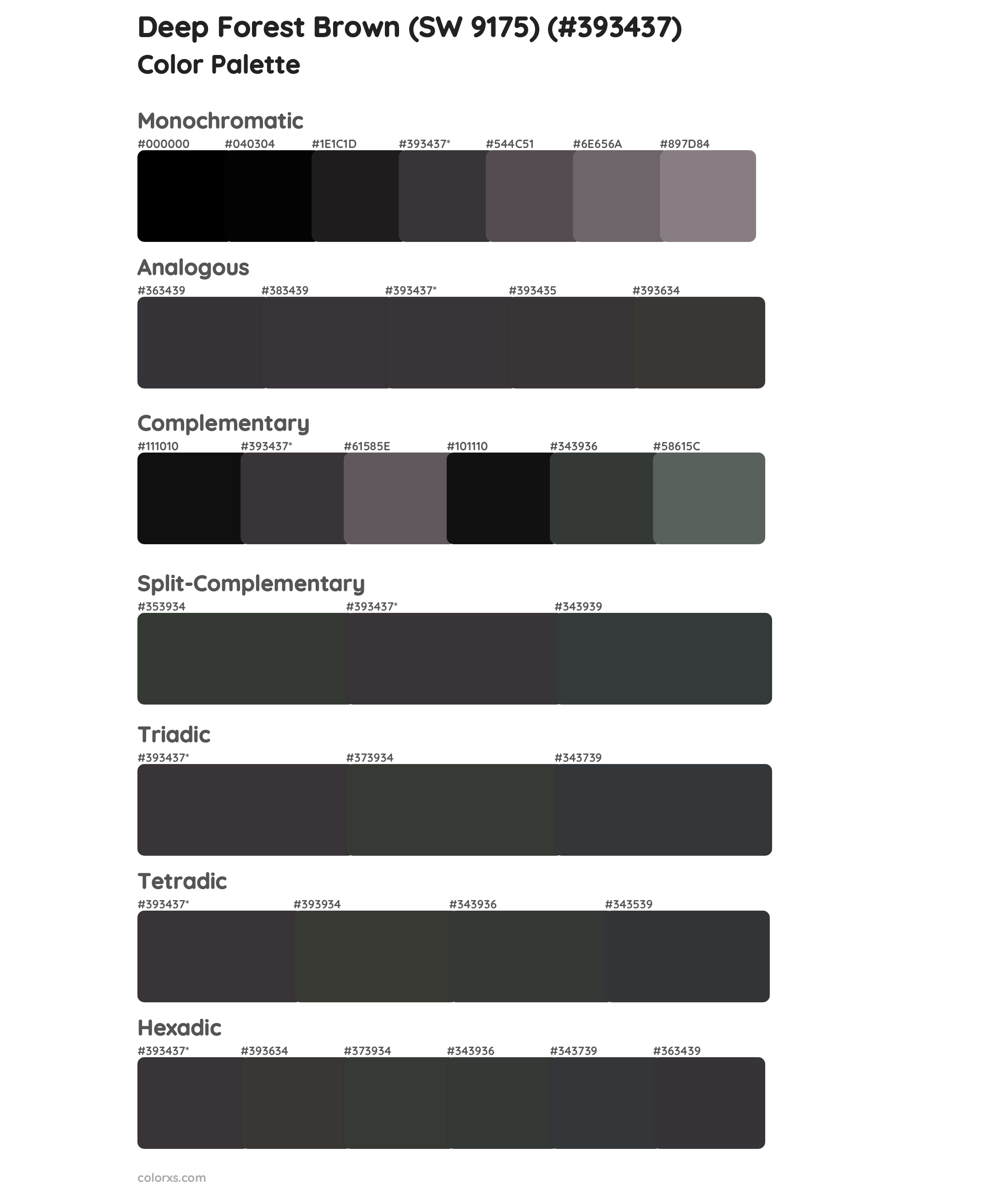 Deep Forest Brown (SW 9175) Color Scheme Palettes