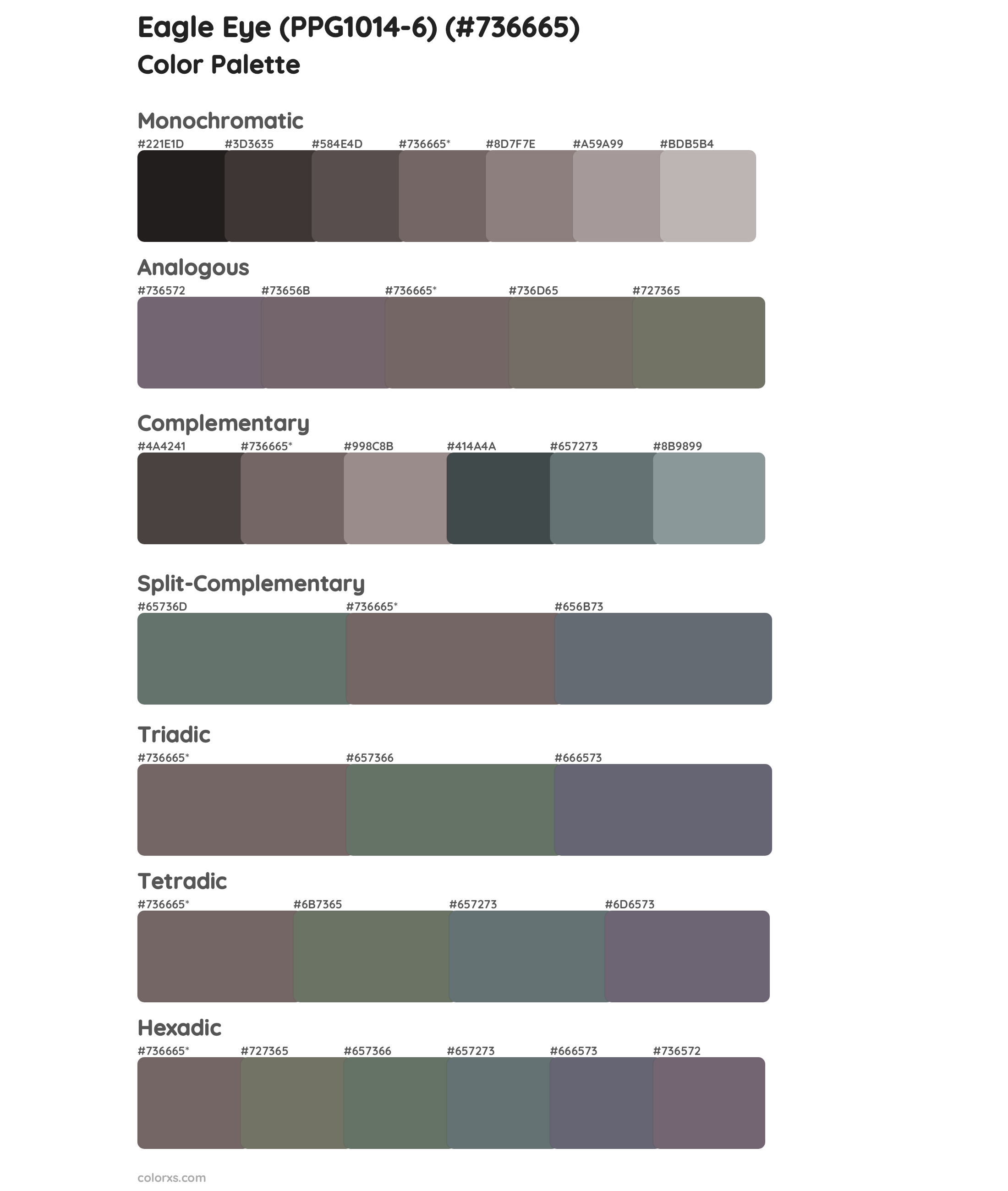 Eagle Eye (PPG1014-6) Color Scheme Palettes