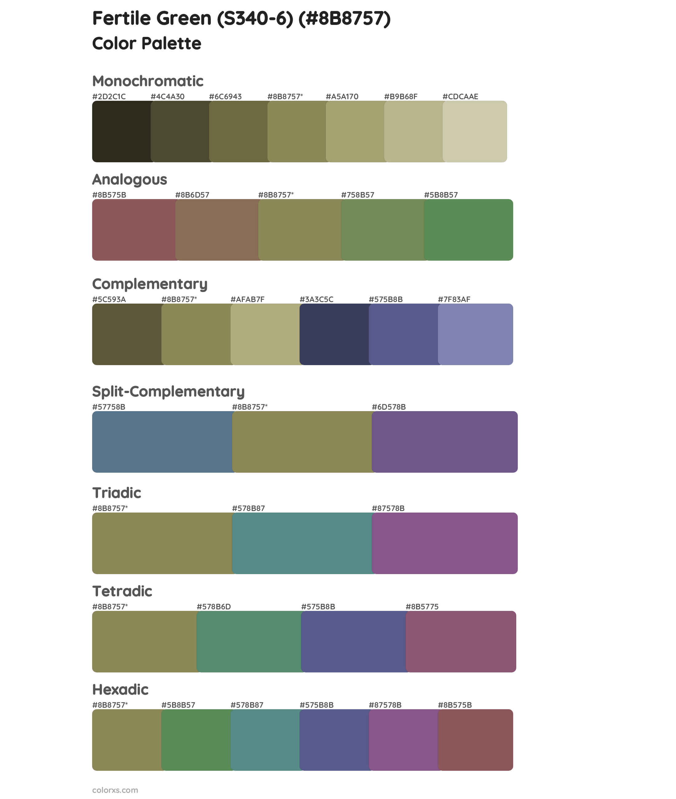 Fertile Green (S340-6) Color Scheme Palettes