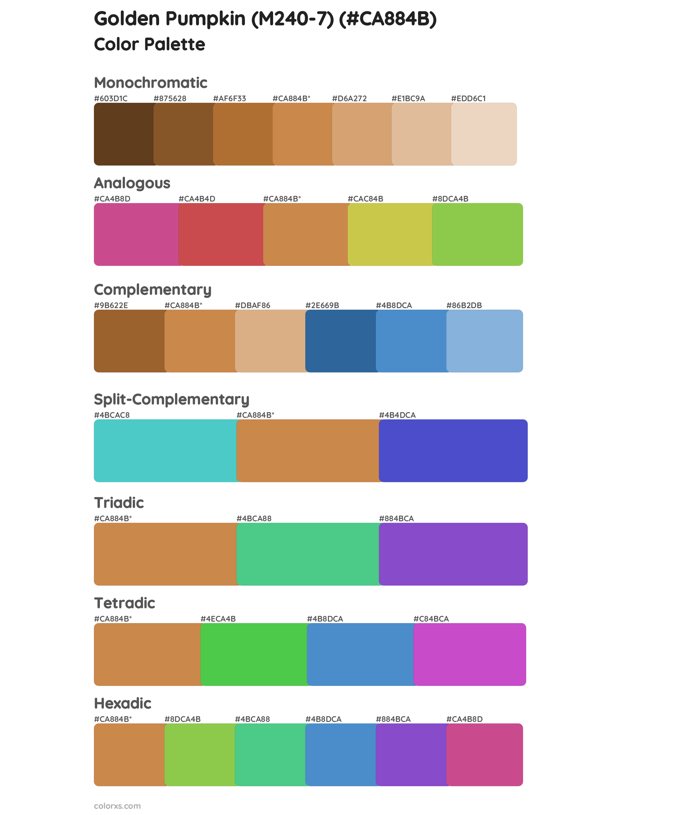 Golden Pumpkin (M240-7) Color Scheme Palettes