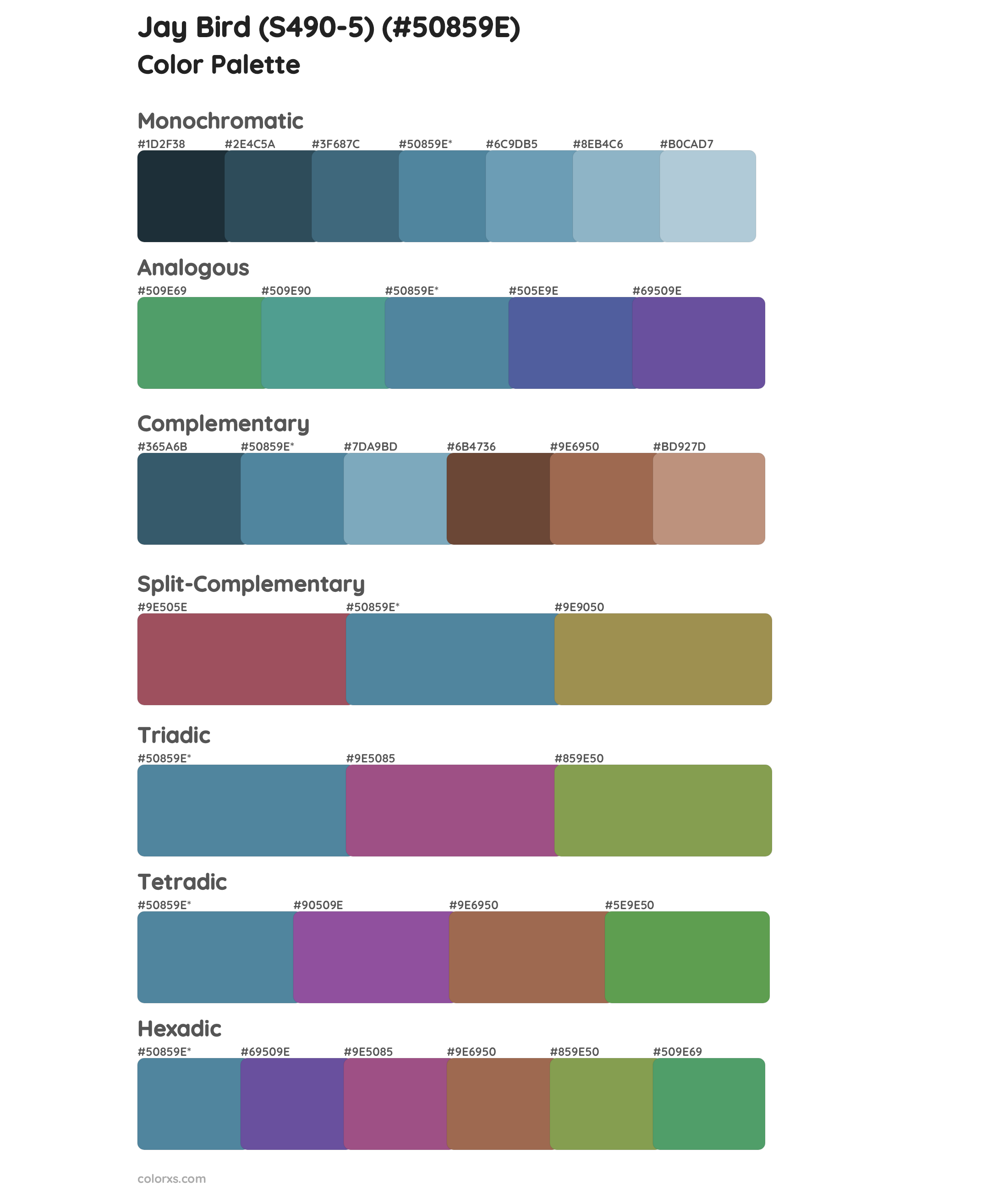 Jay Bird (S490-5) Color Scheme Palettes