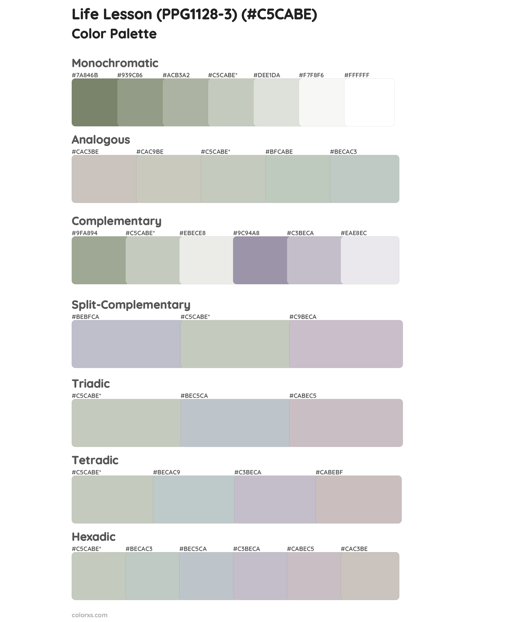 Life Lesson (PPG1128-3) Color Scheme Palettes