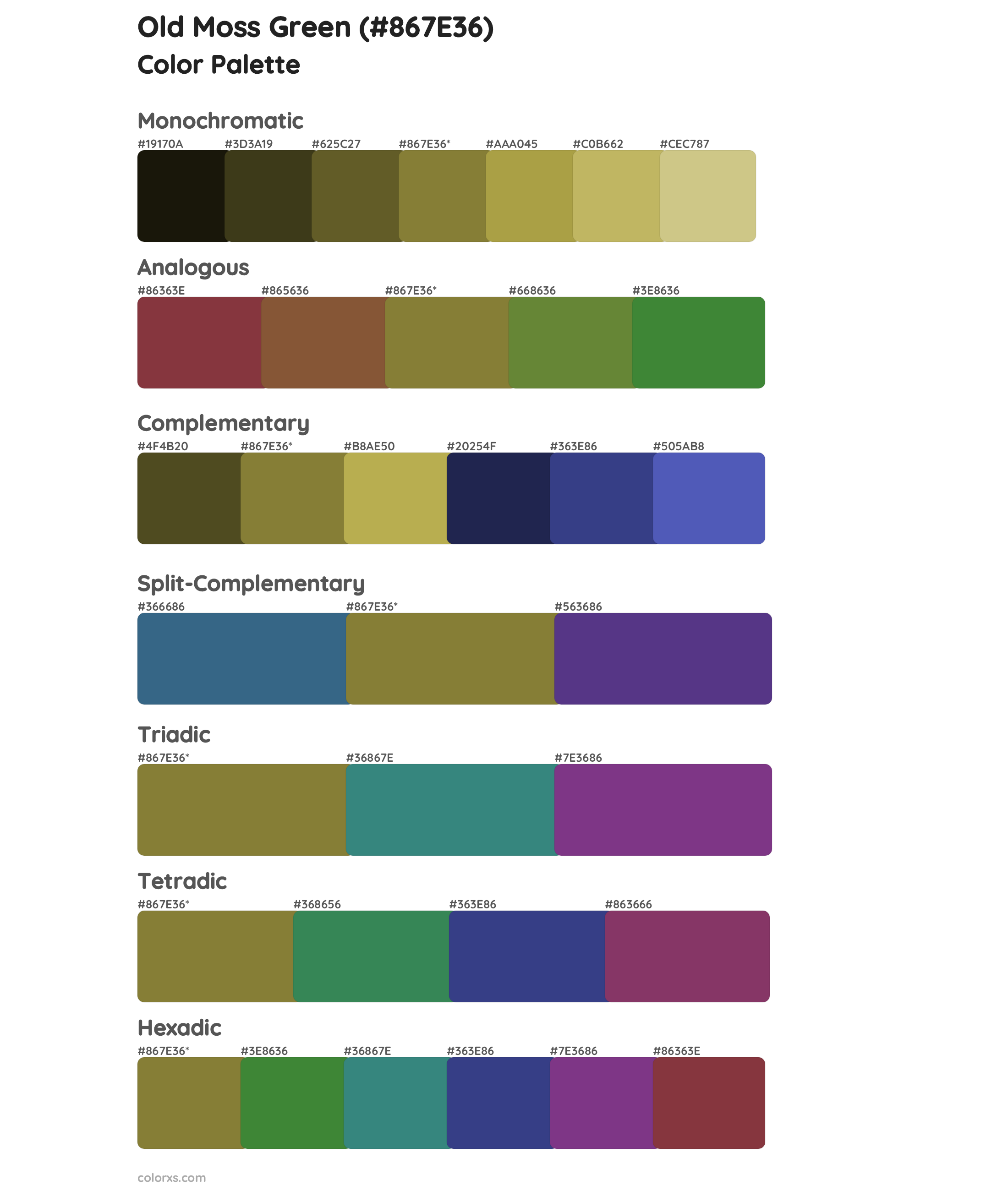 Old Moss Green Color Scheme Palettes