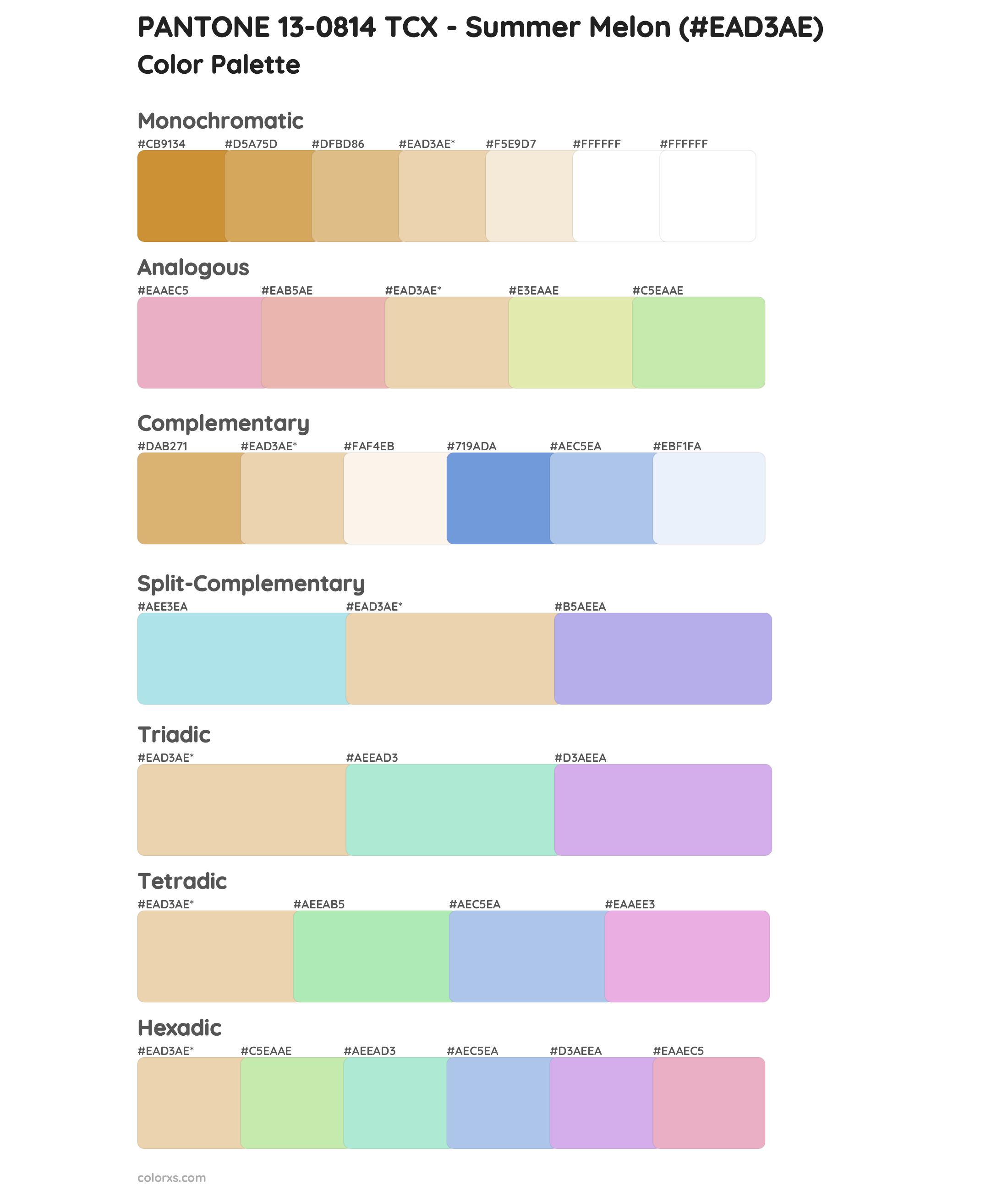 PANTONE 13-0814 TCX - Summer Melon color palettes and color scheme 