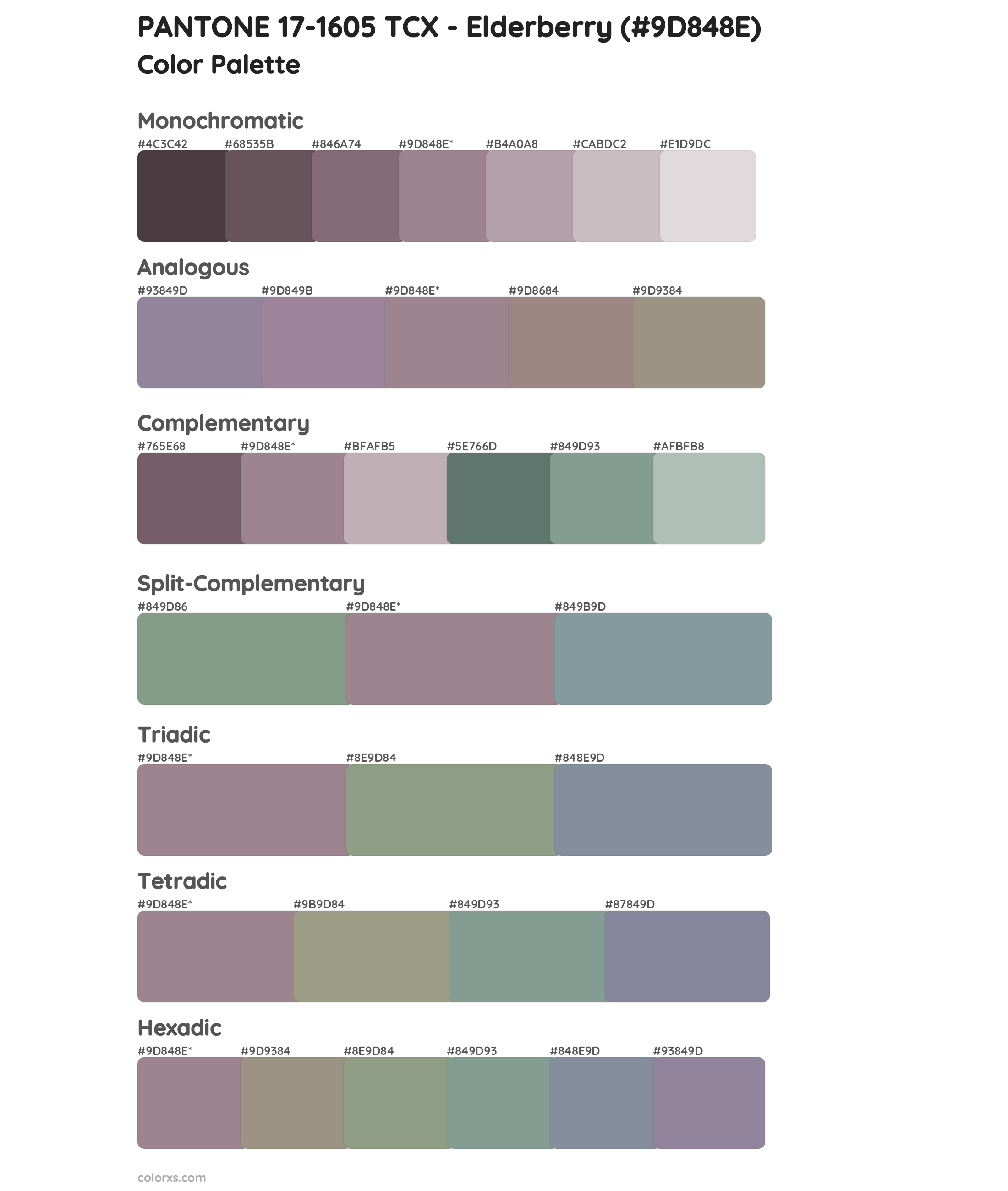 PANTONE 17-1605 TCX - Elderberry Color Scheme Palettes