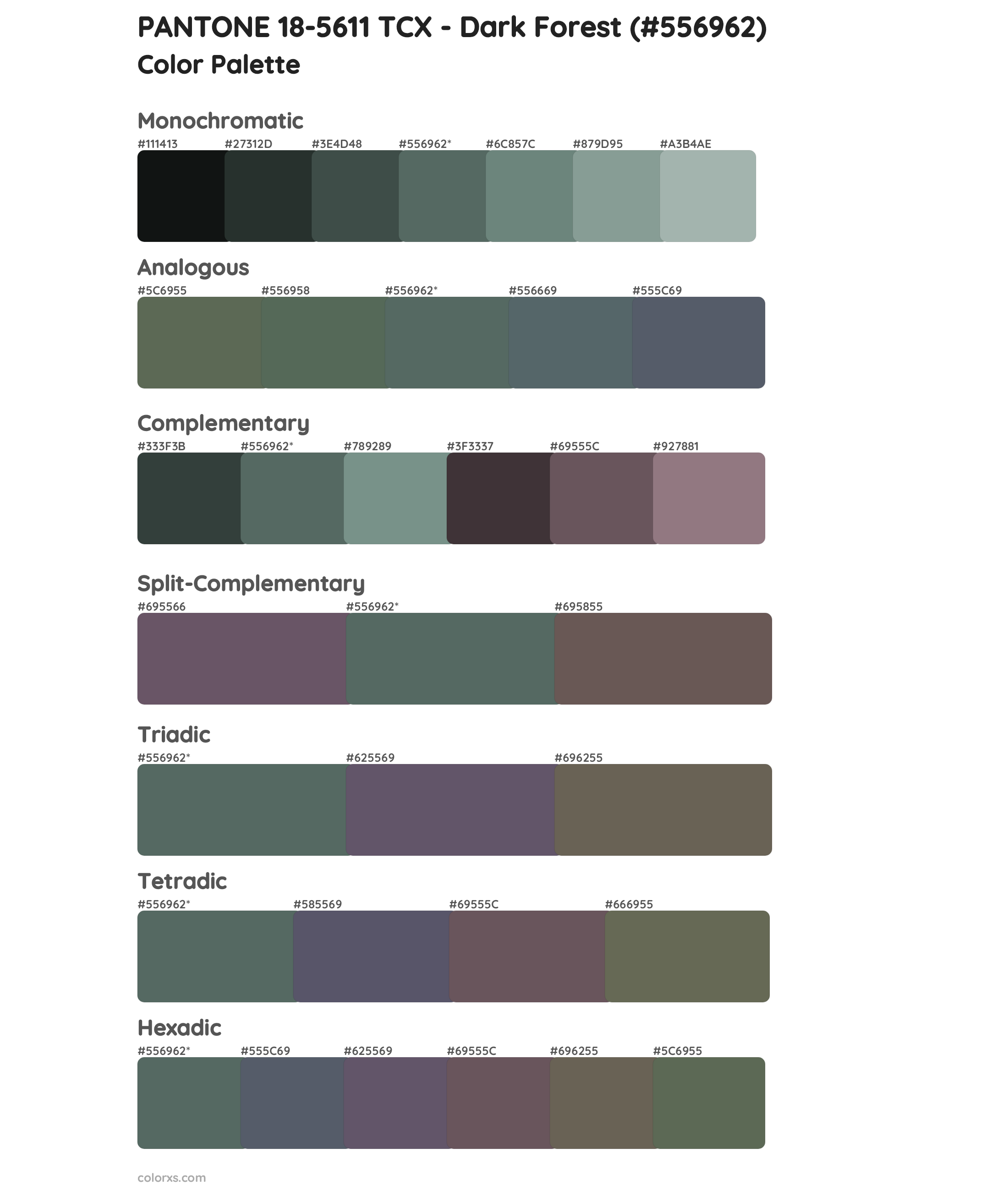 PANTONE 18-5611 TCX - Dark Forest Color Scheme Palettes