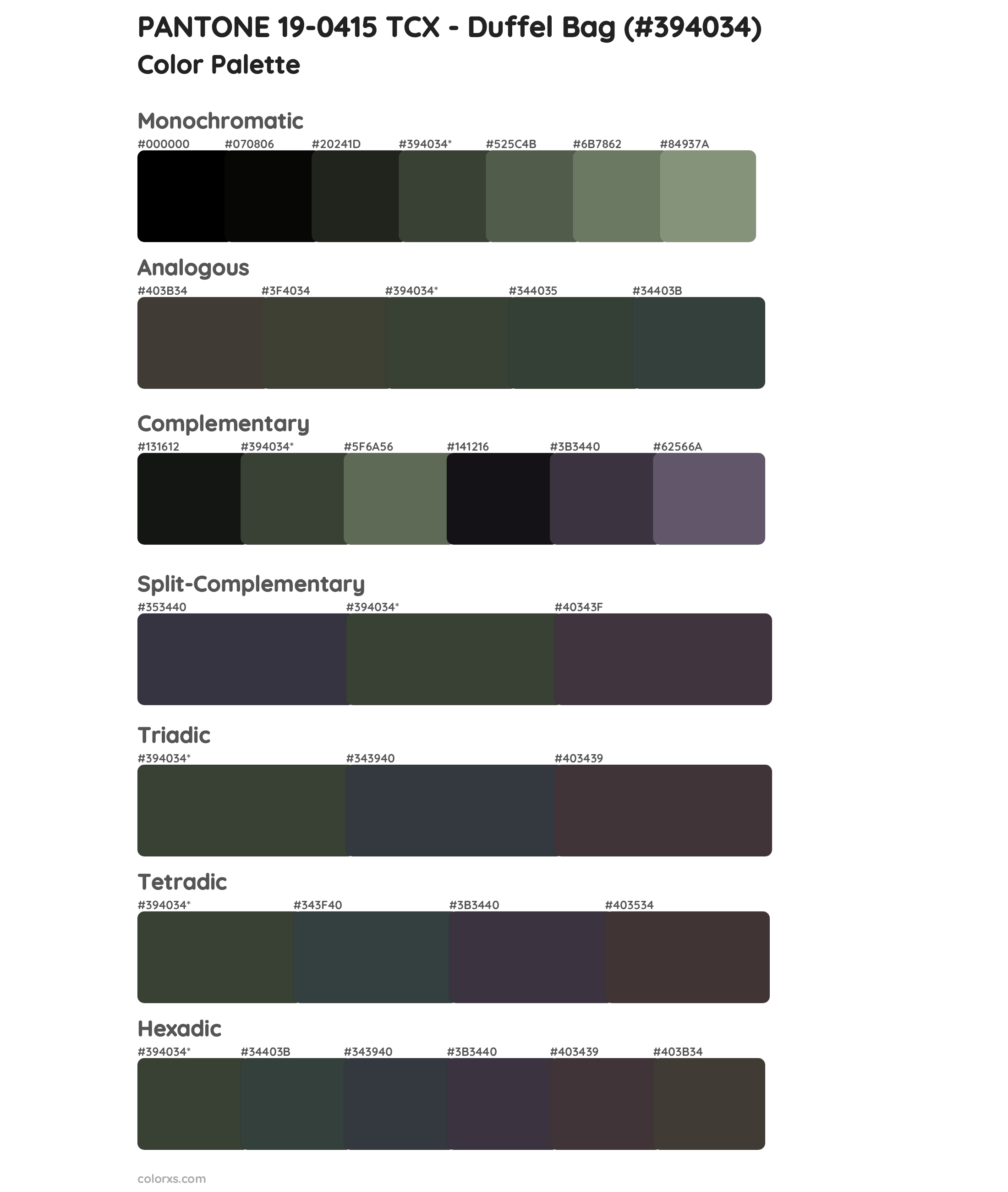 PANTONE 19-0415 TCX - Duffel Bag Color Scheme Palettes