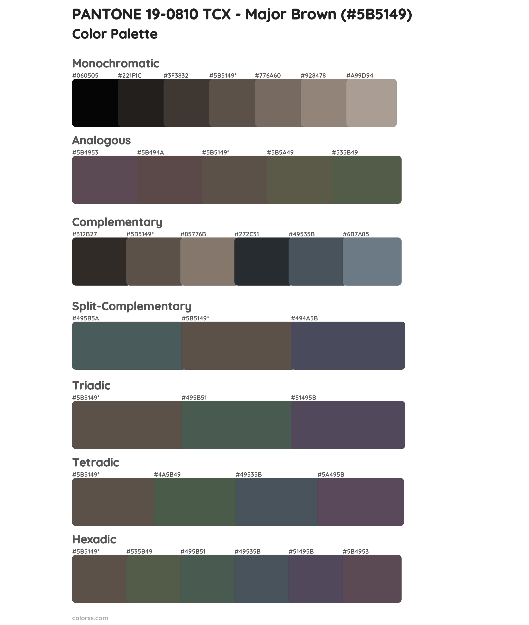 PANTONE 19-0810 TCX - Major Brown Color Scheme Palettes