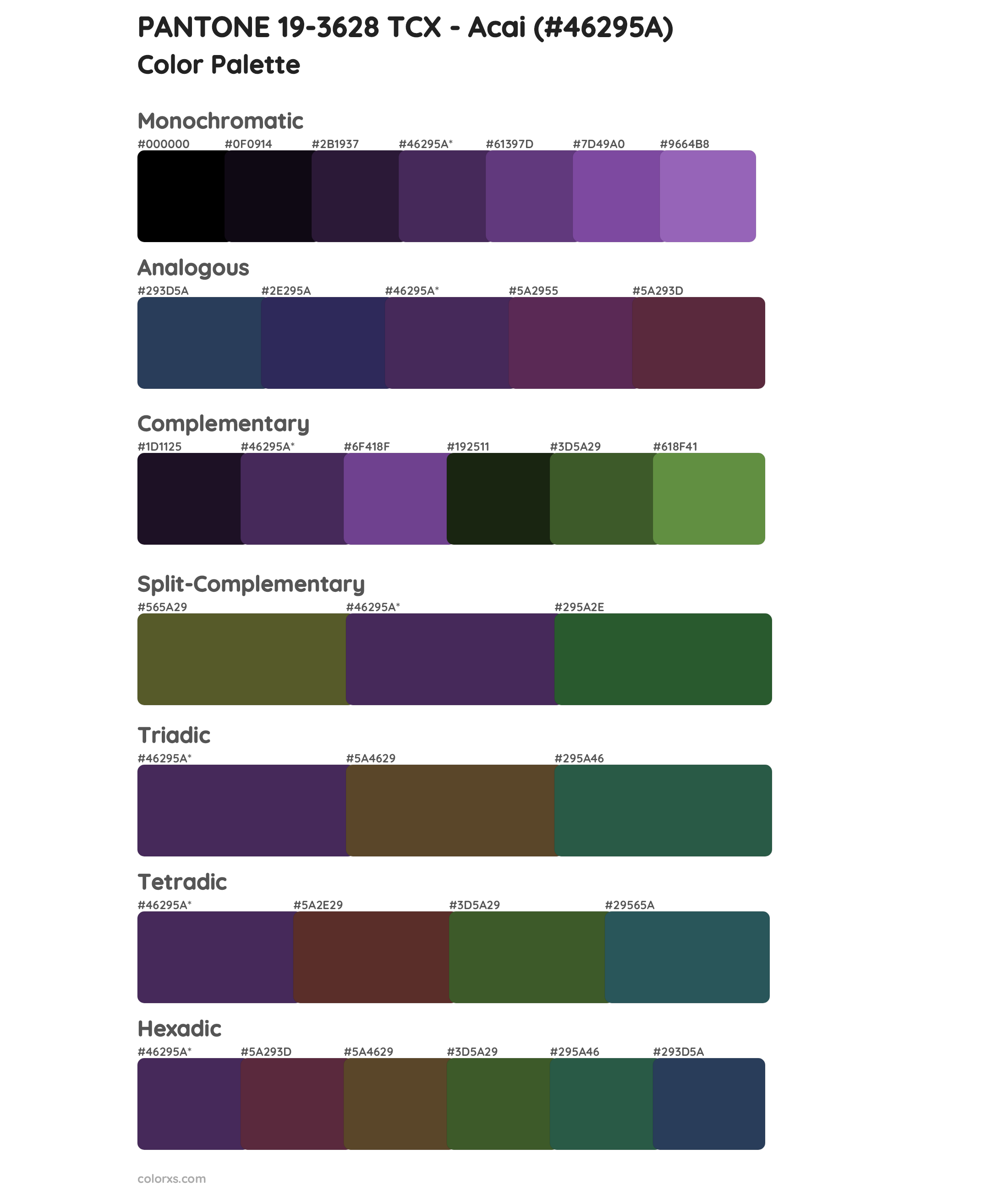 PANTONE 19-3628 TCX - Acai Color Scheme Palettes