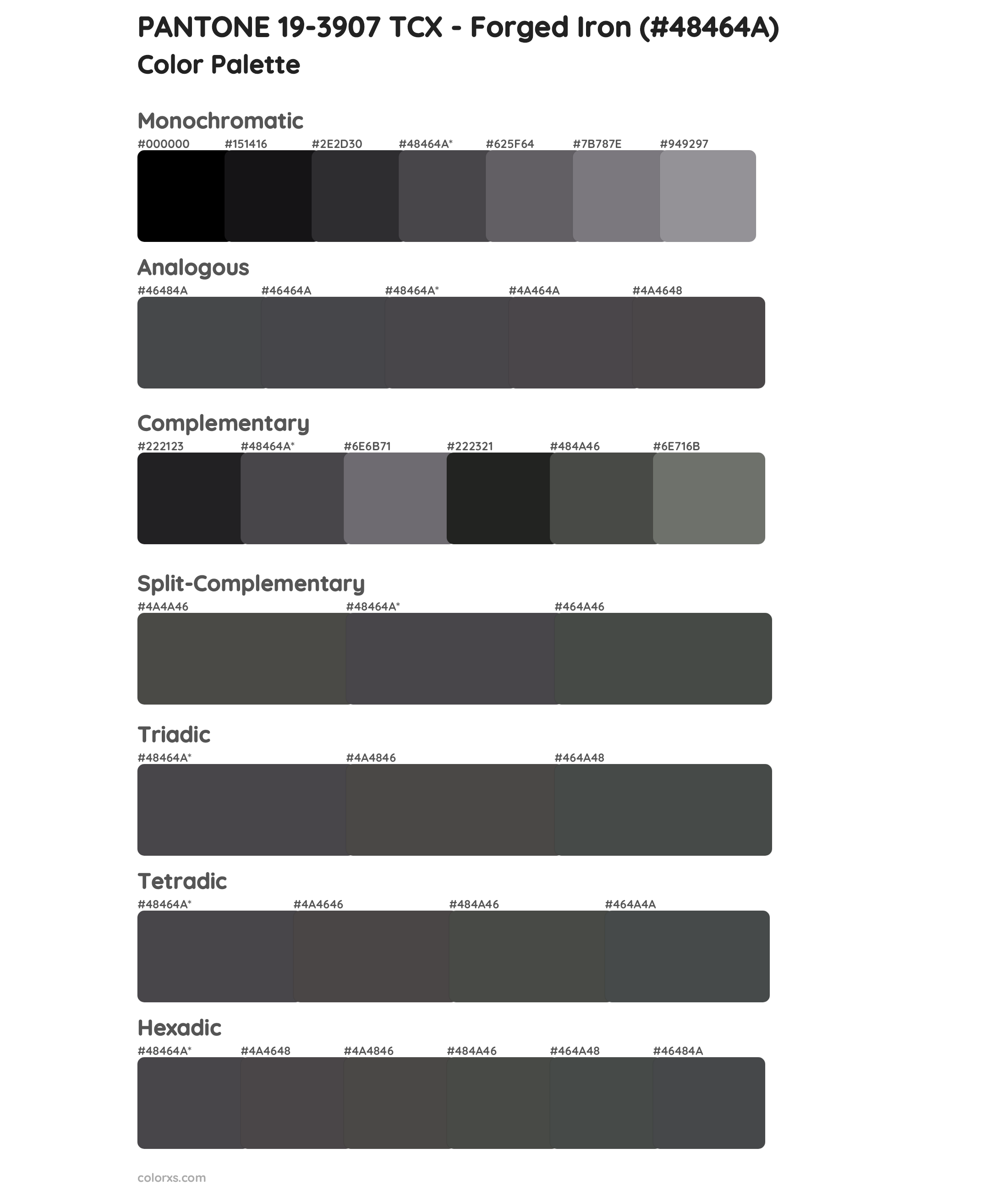 PANTONE 19-3907 TCX - Forged Iron Color Scheme Palettes