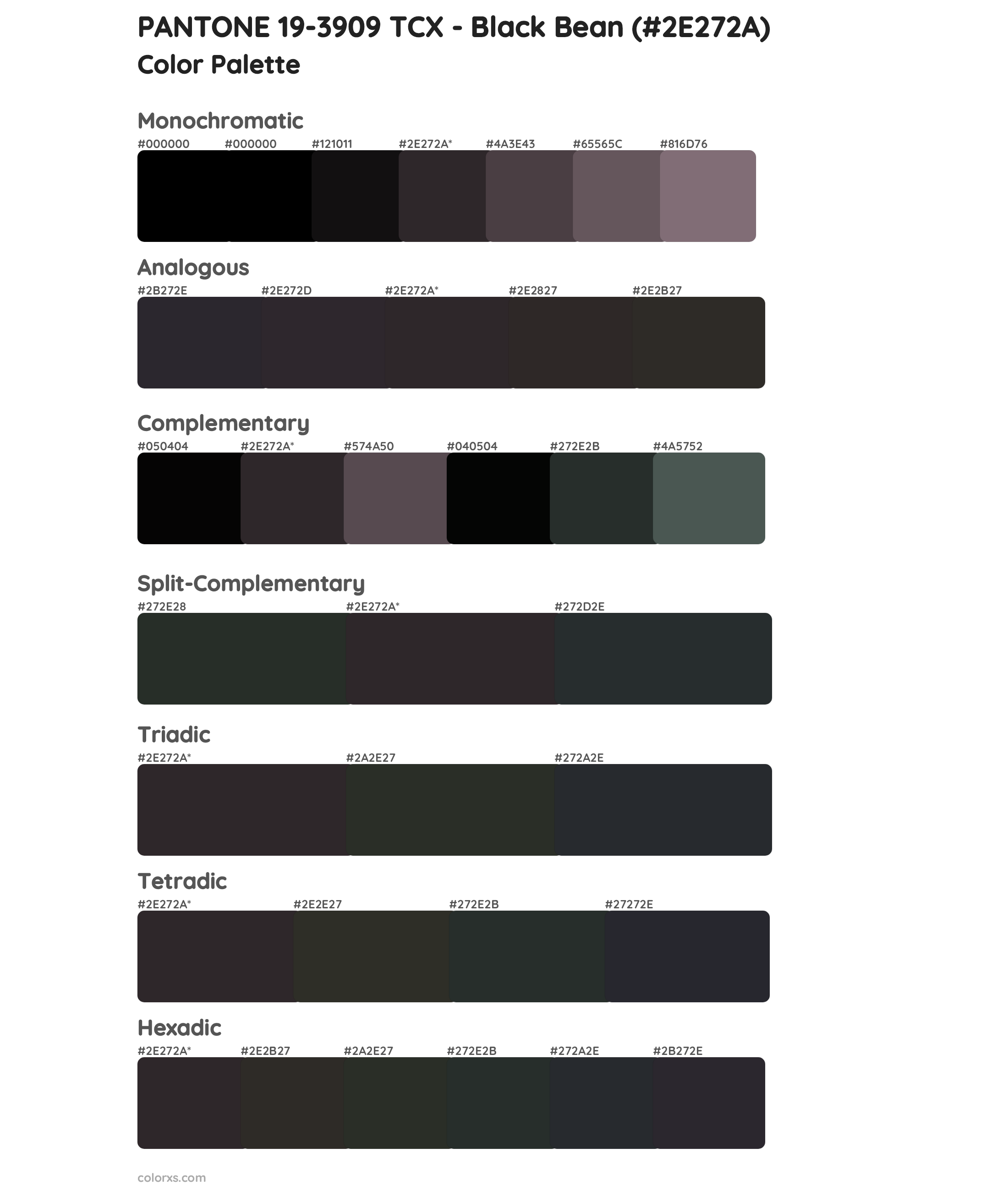 PANTONE 19-3909 TCX - Black Bean Color Scheme Palettes