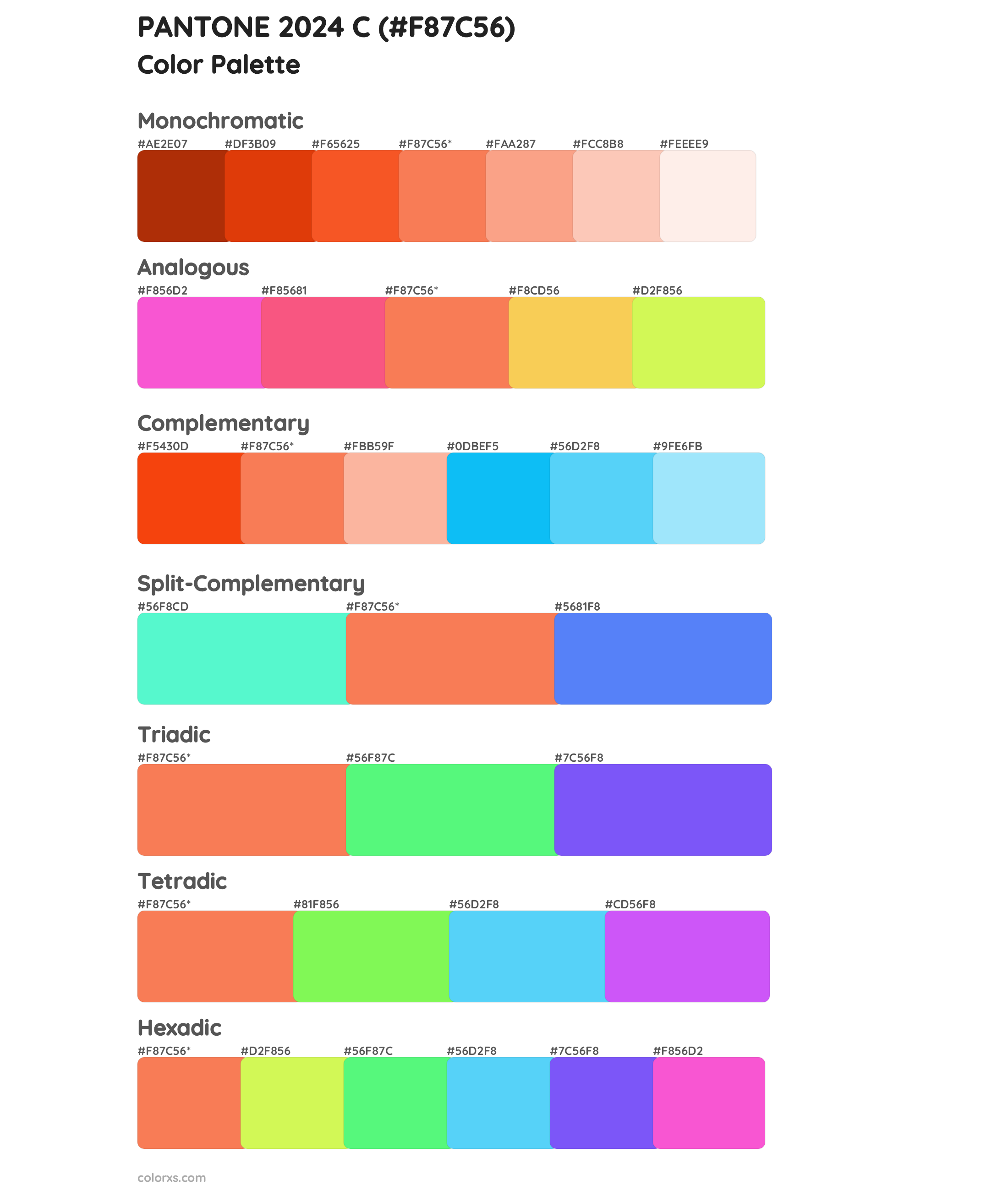 PANTONE 2024 C color palettes and color scheme combinations