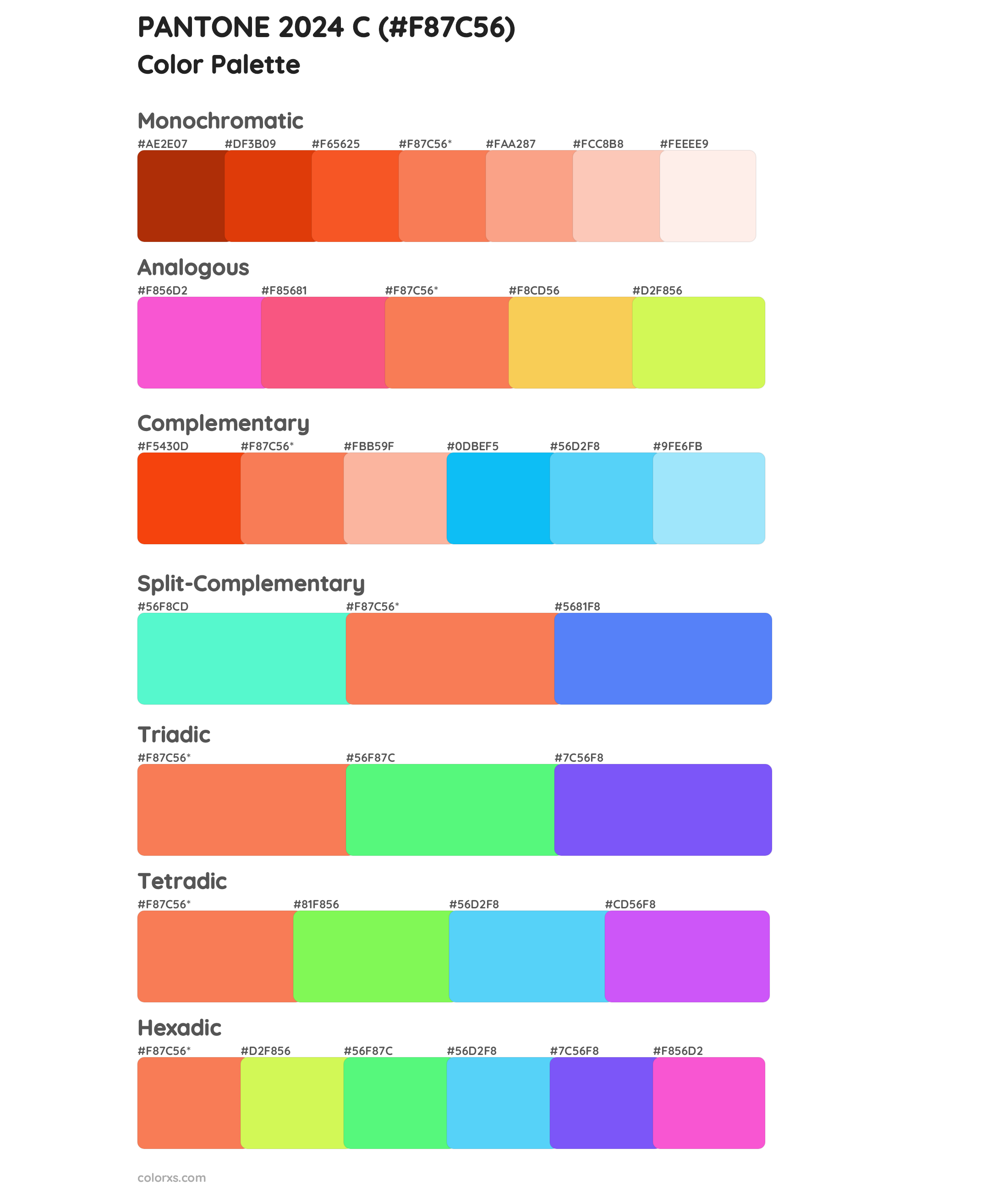 PANTONE 2024 C Color Palettes And Color Scheme Combinations Colorxs