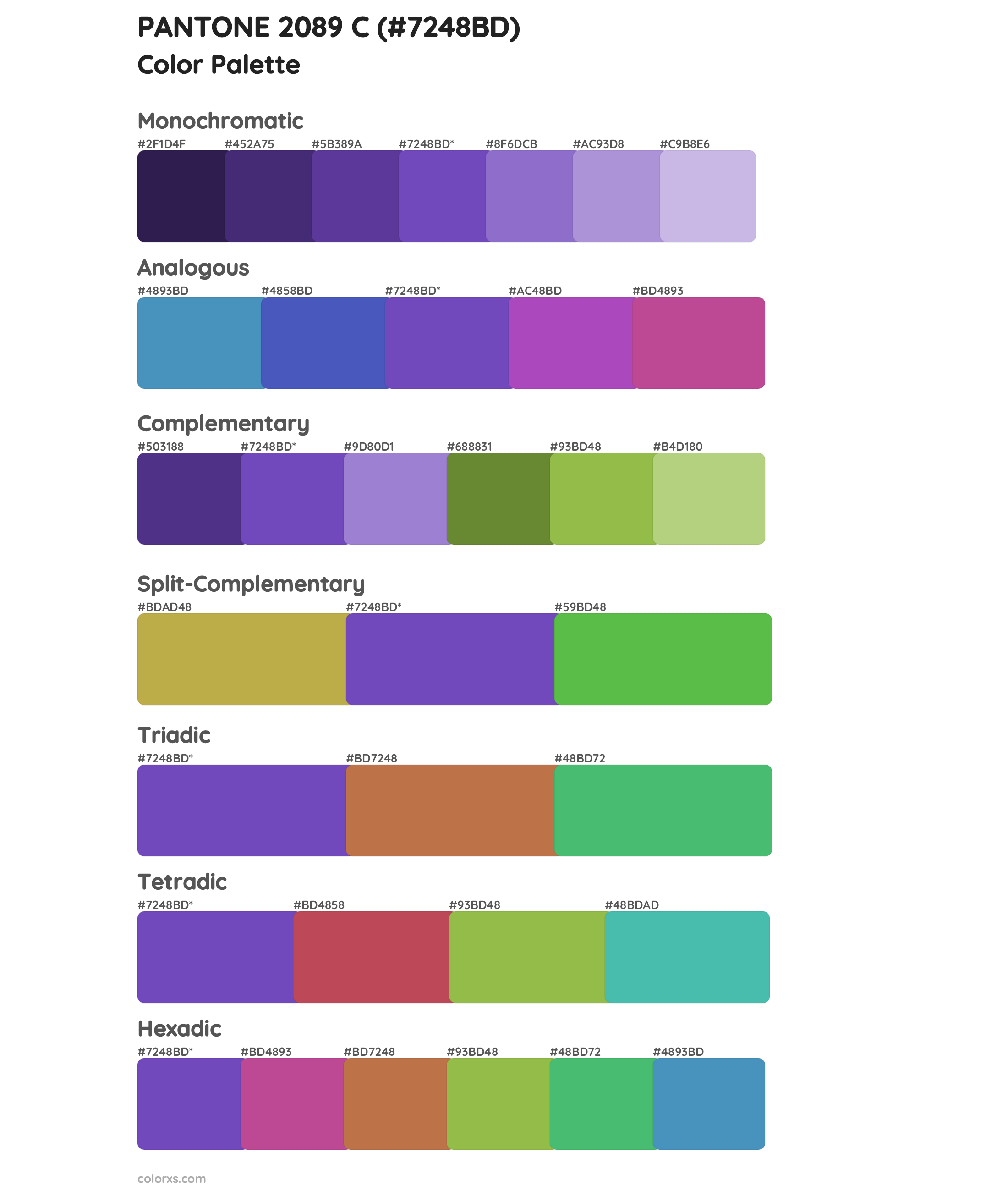 PANTONE 2089 C Color Scheme Palettes