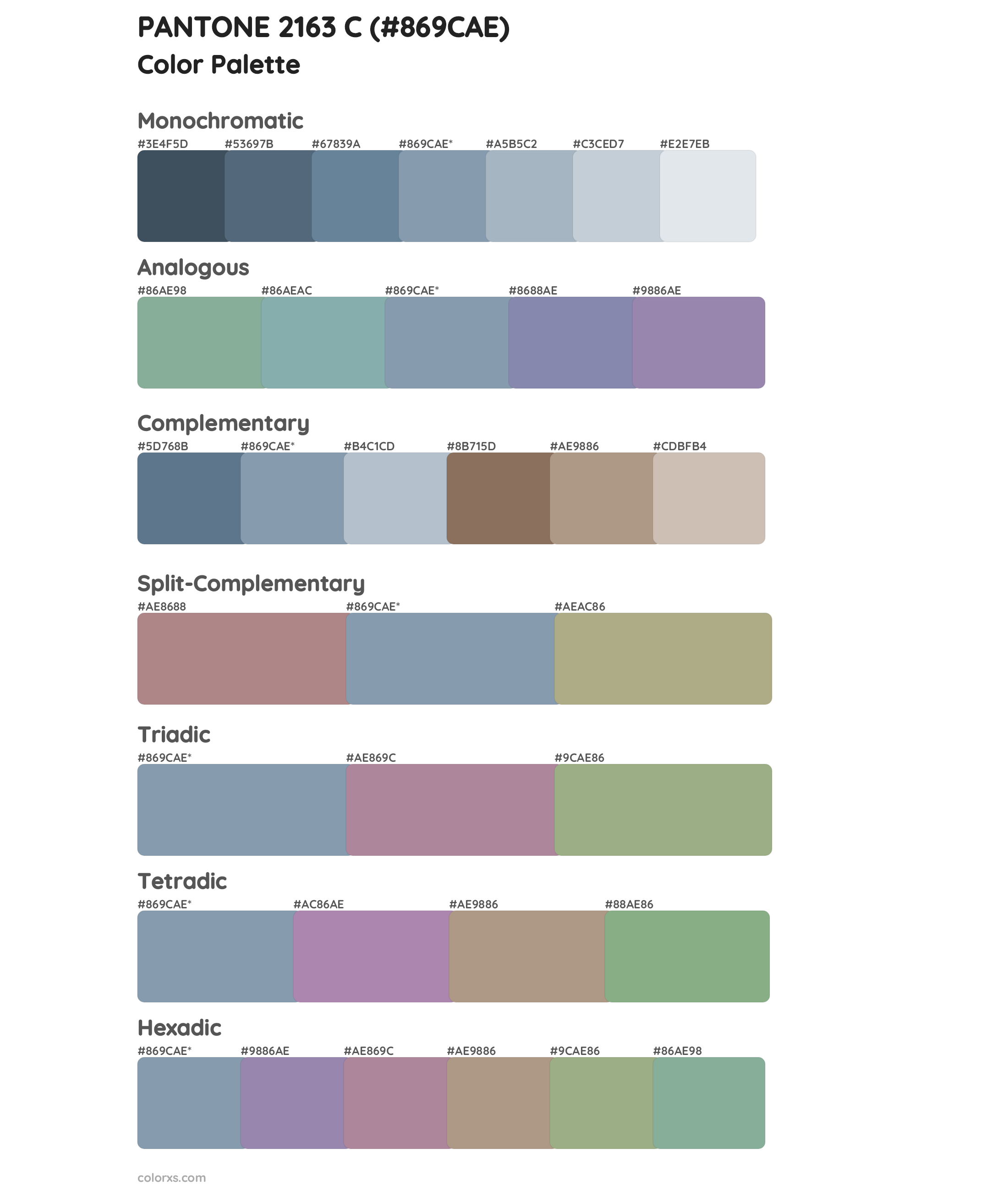 PANTONE 2163 C Color Scheme Palettes