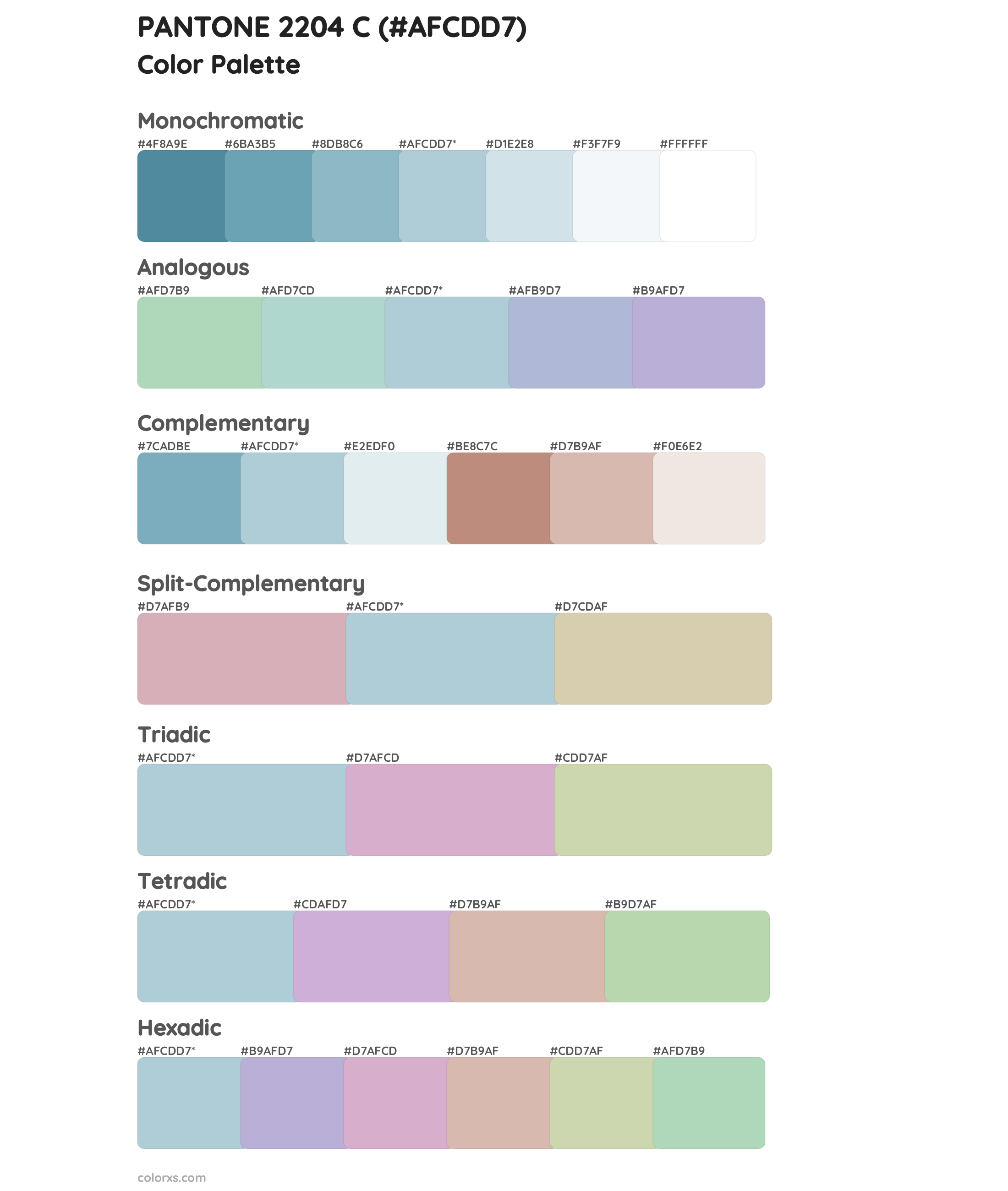 PANTONE 2204 C Color Scheme Palettes