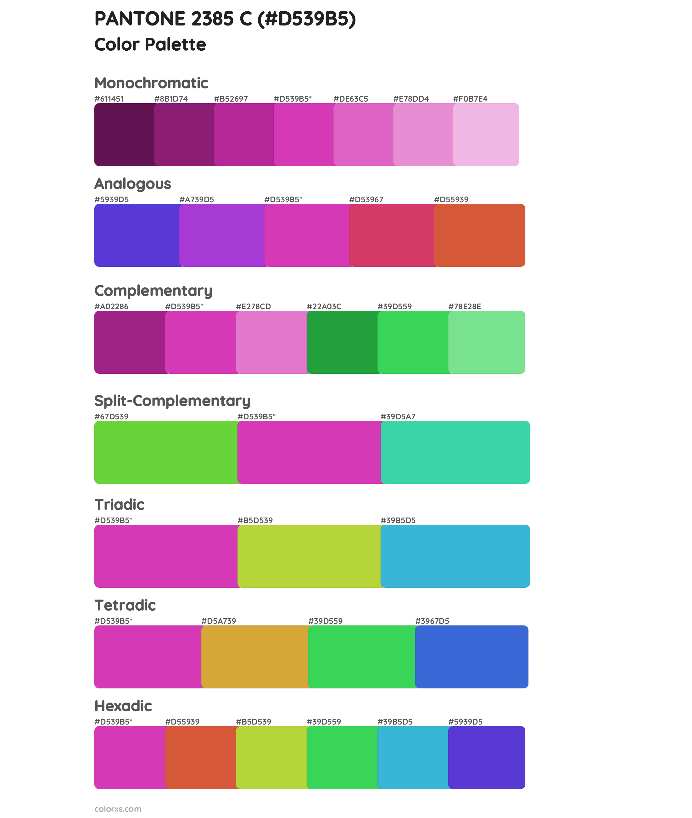 PANTONE 2385 C Color Scheme Palettes