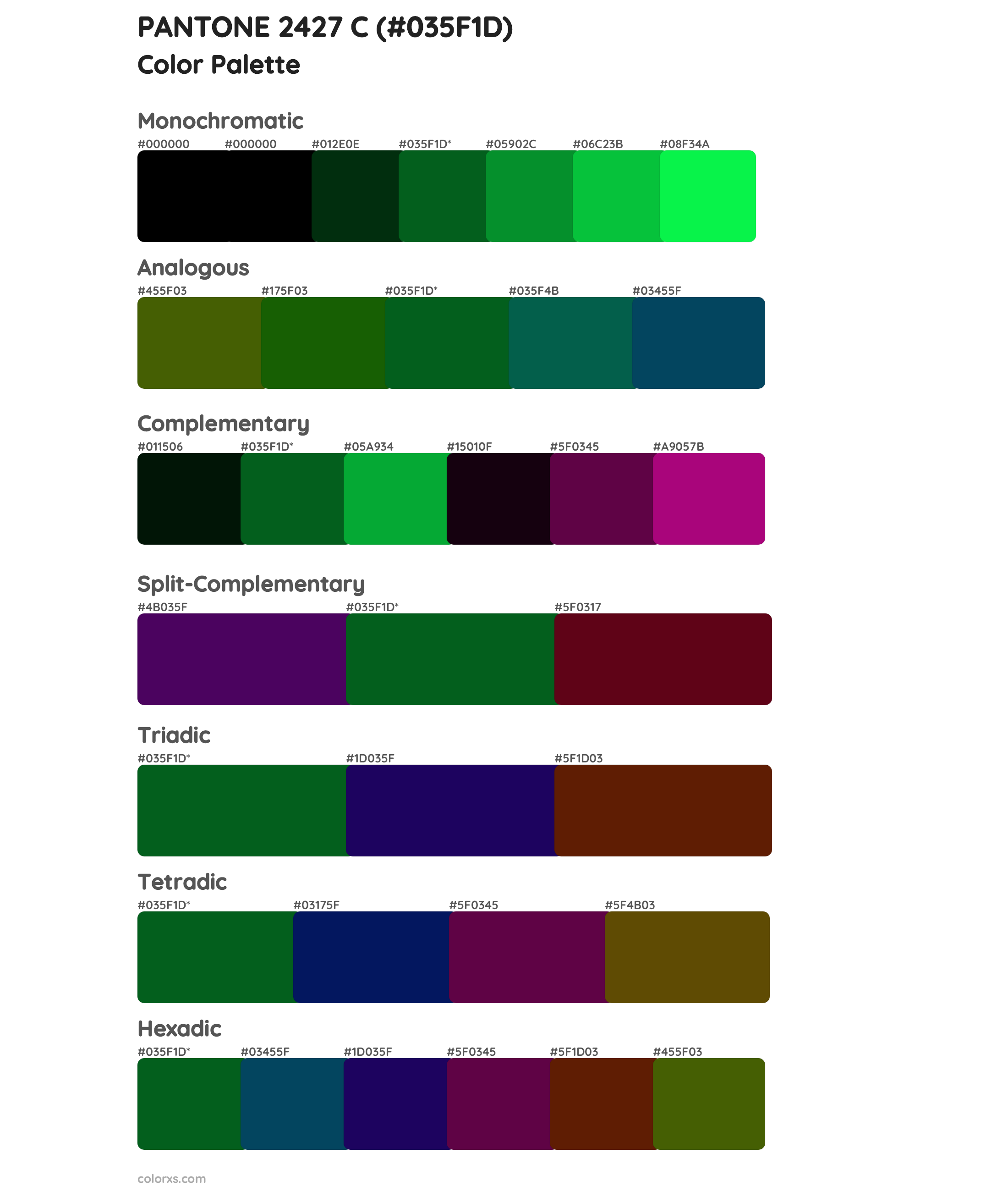 PANTONE 2427 C Color Scheme Palettes