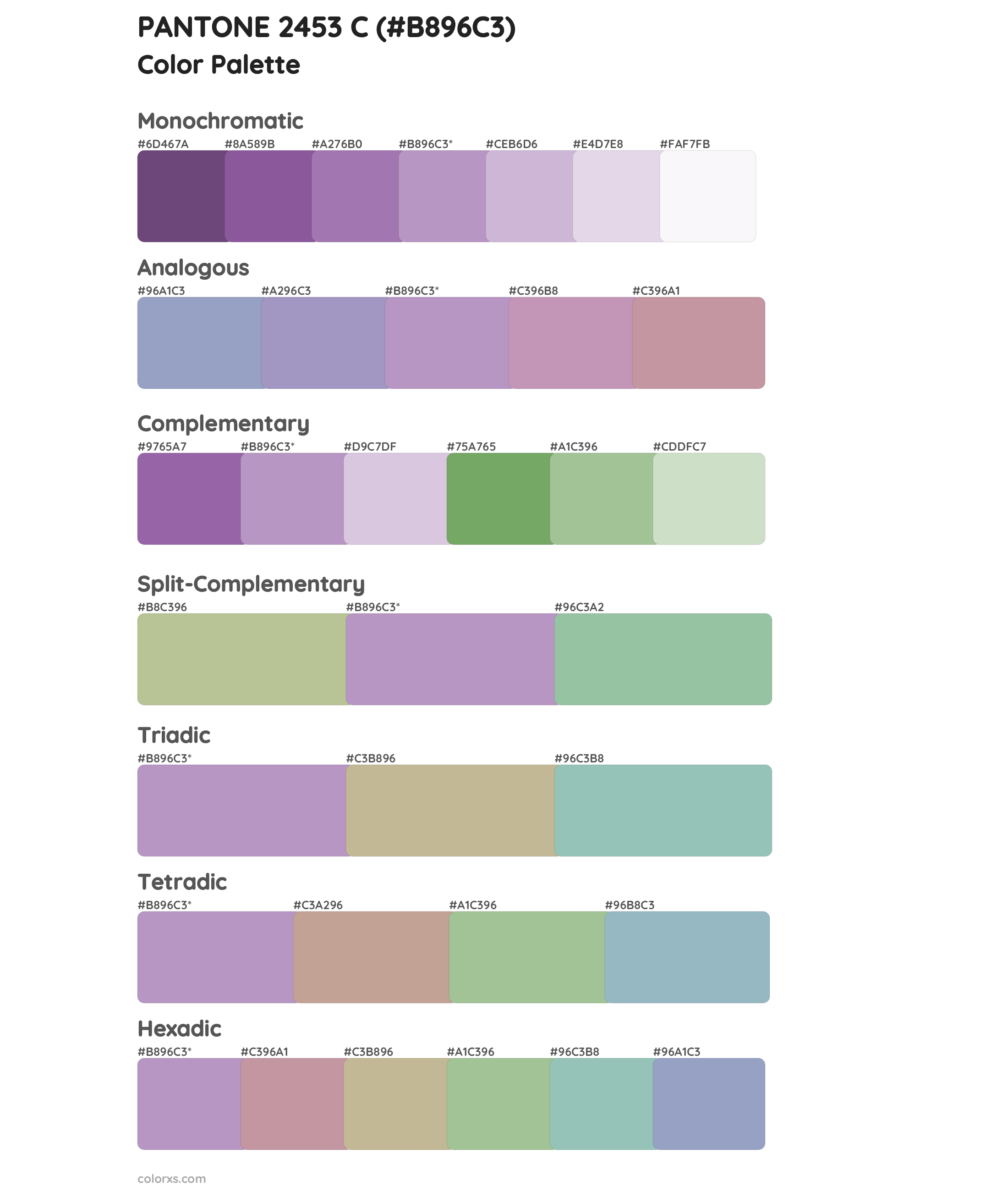 PANTONE 2453 C Color Scheme Palettes