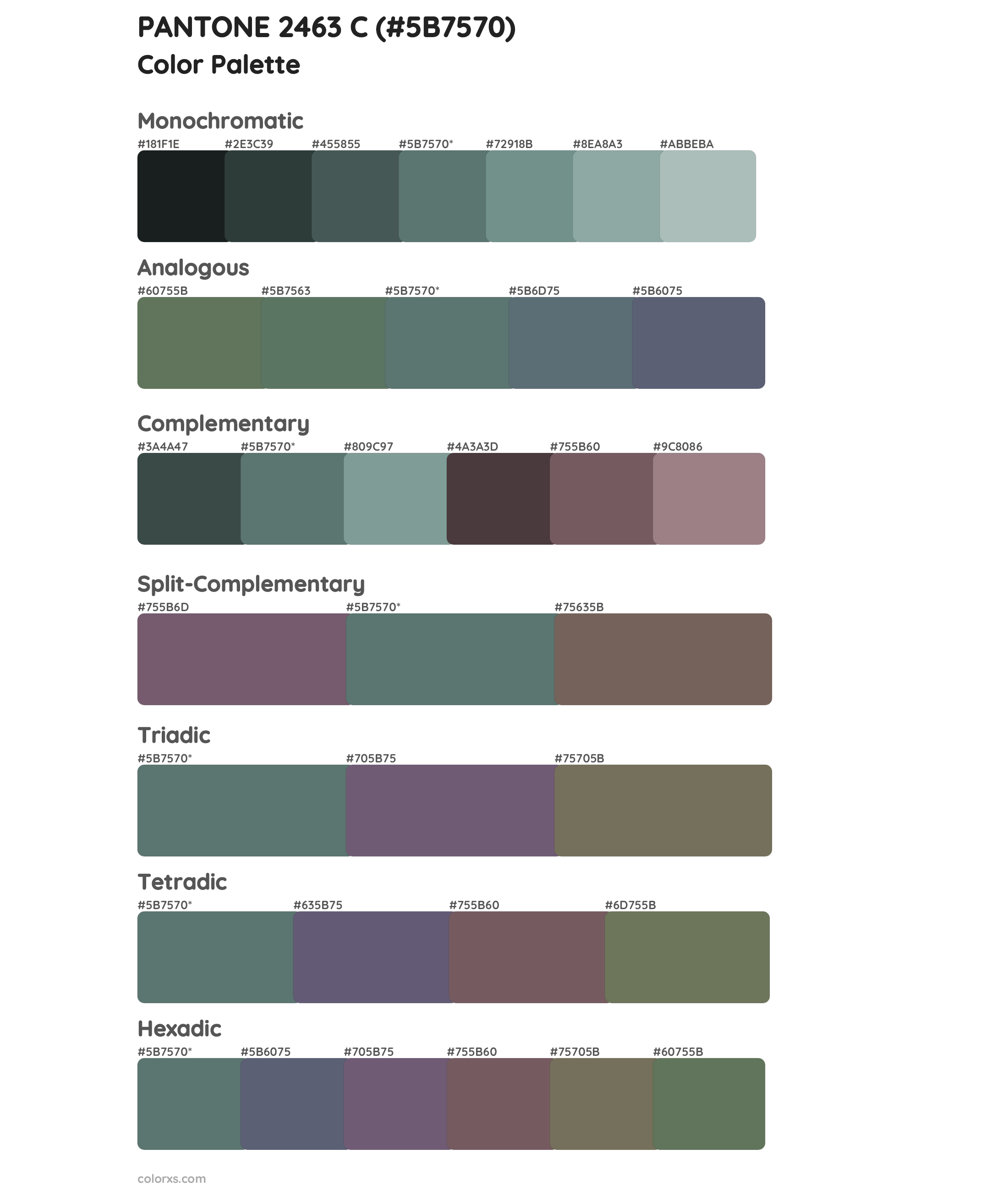 PANTONE 2463 C Color Scheme Palettes