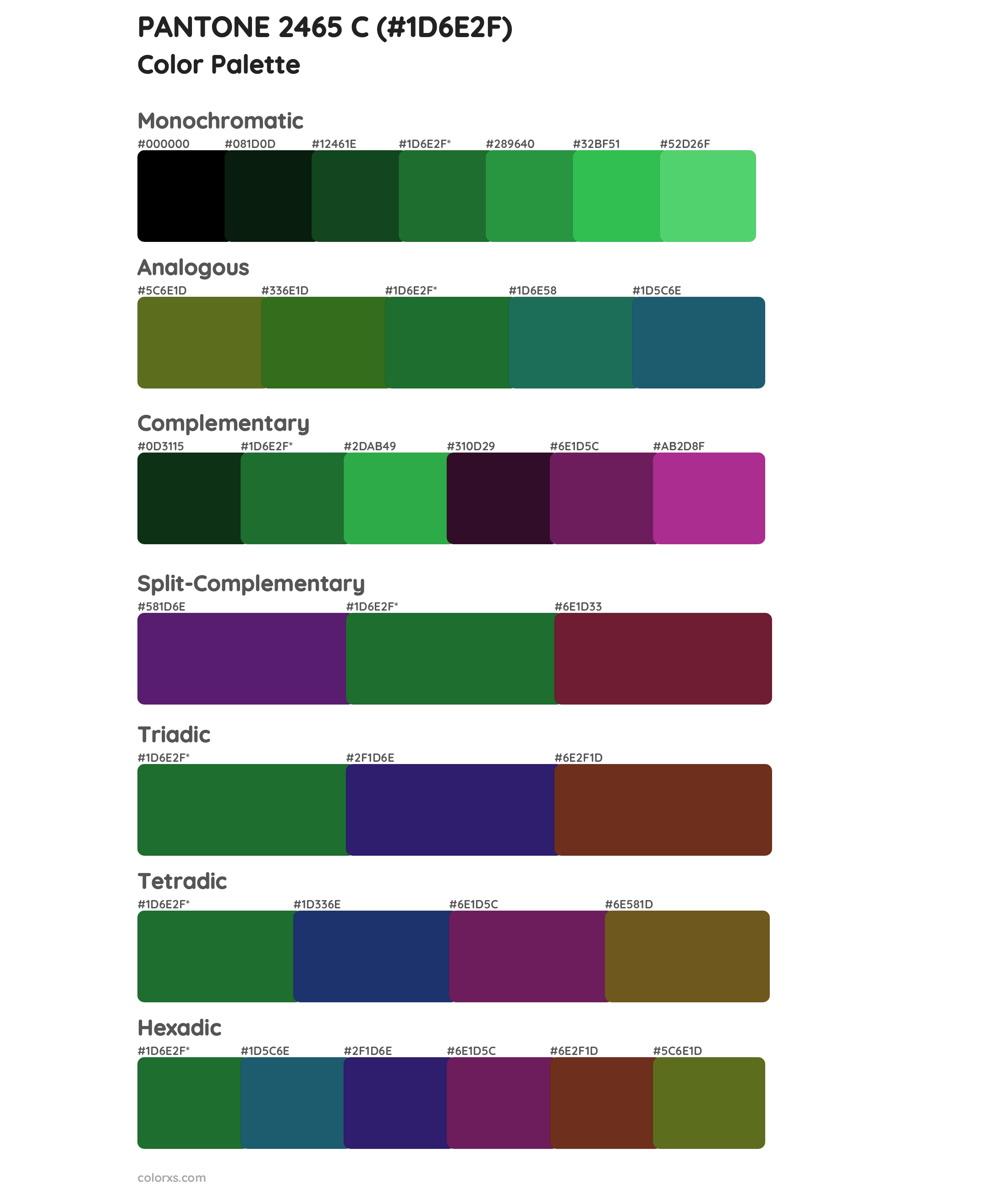 PANTONE 2465 C Color Scheme Palettes