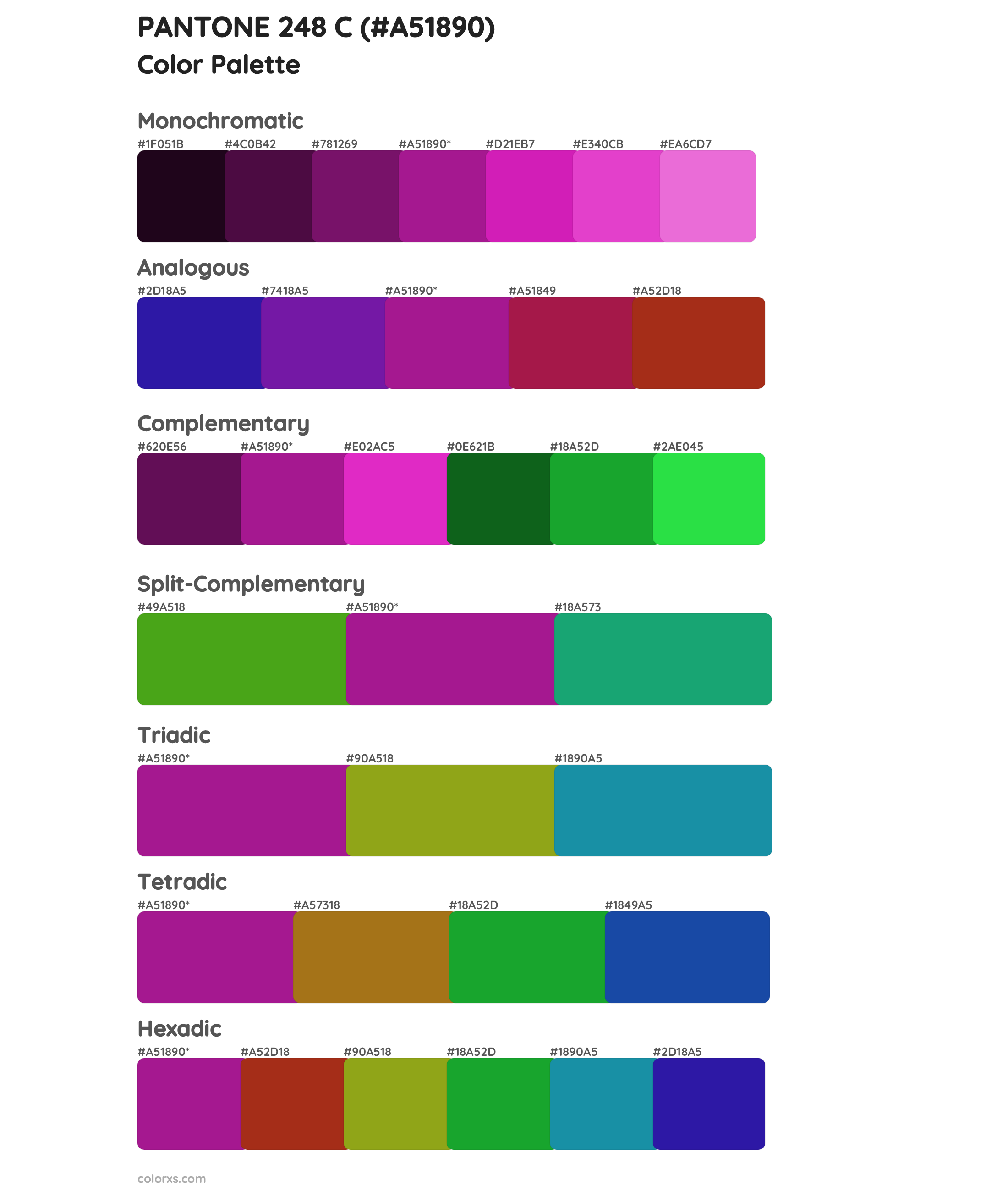 PANTONE 248 C Color Scheme Palettes