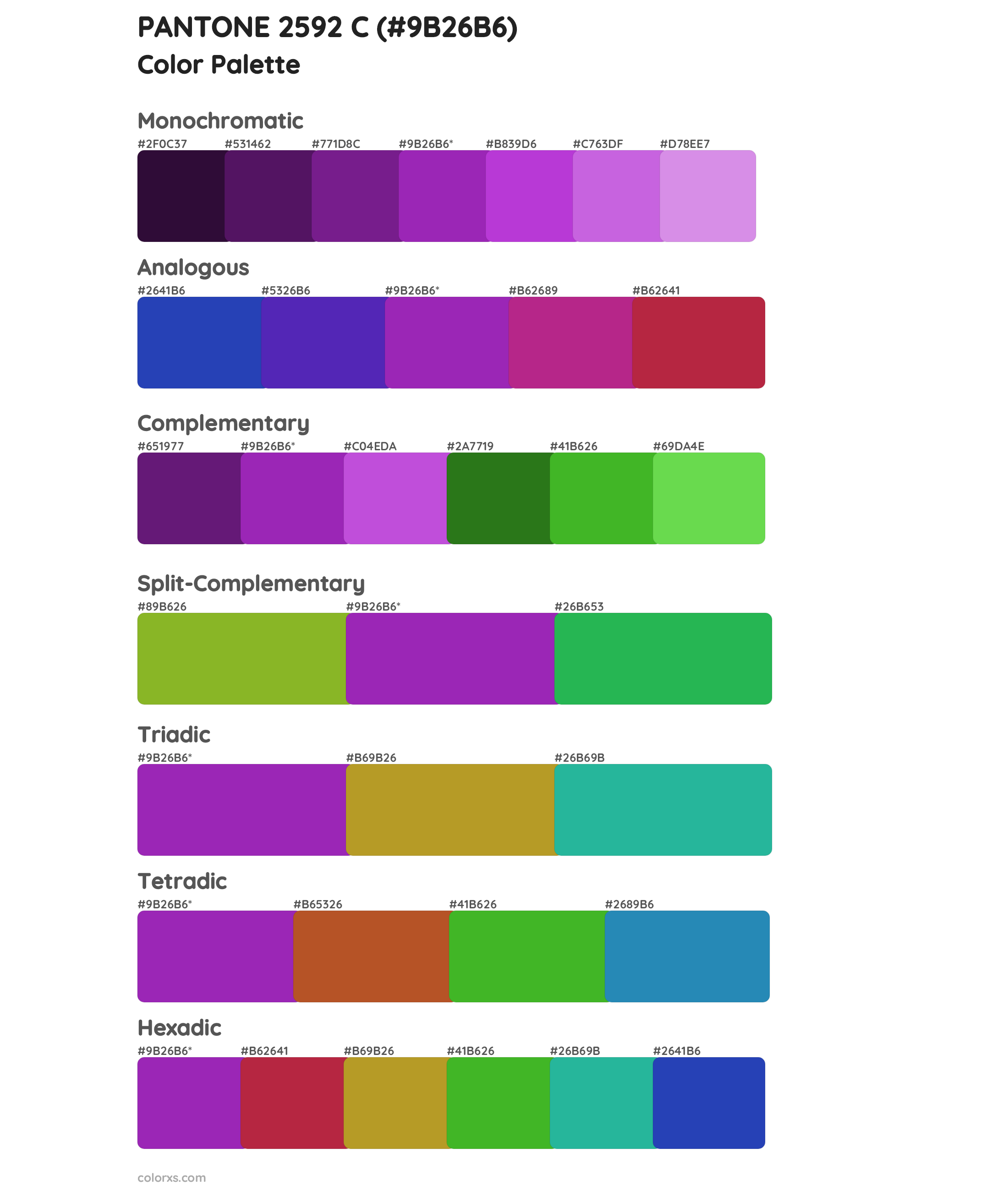 PANTONE 2592 C Color Scheme Palettes