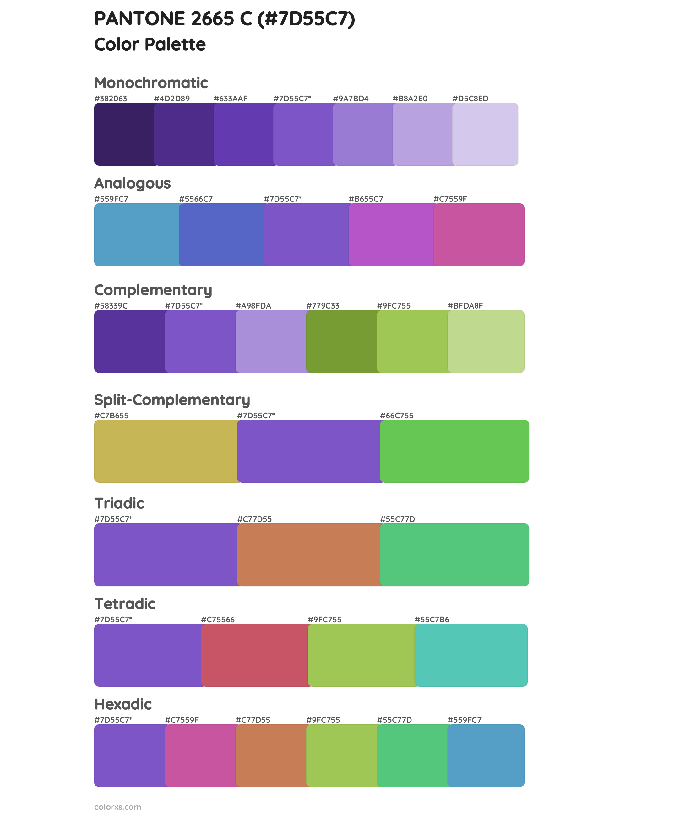 PANTONE 2665 C Color Scheme Palettes