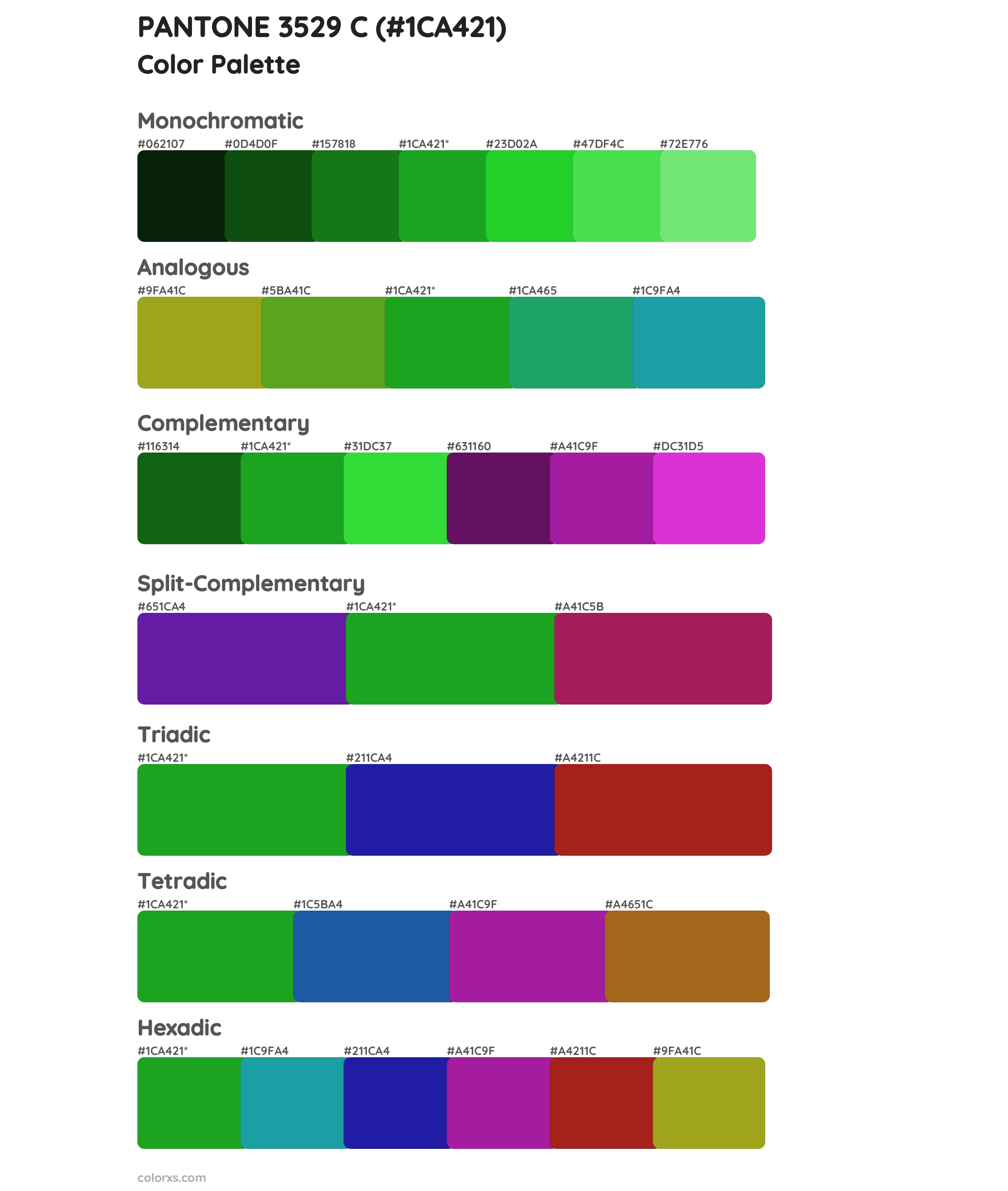 PANTONE 3529 C Color Scheme Palettes