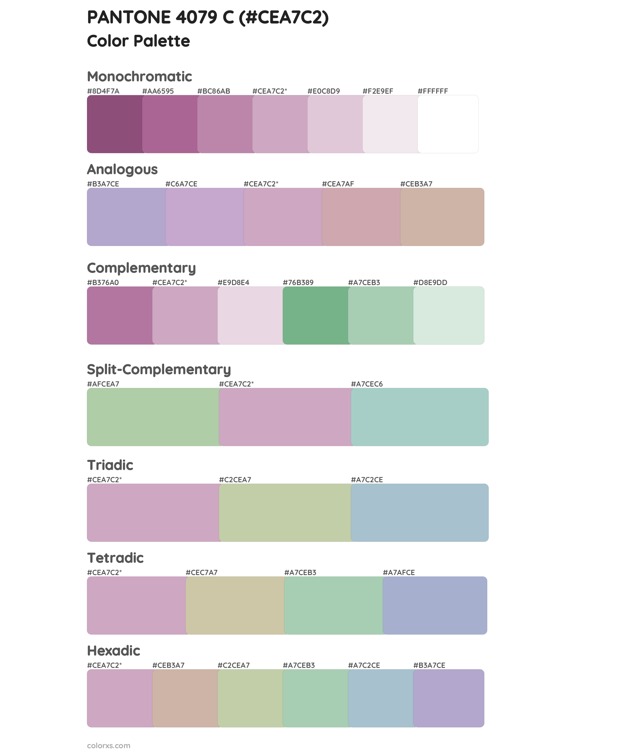 PANTONE 4079 C Color Scheme Palettes