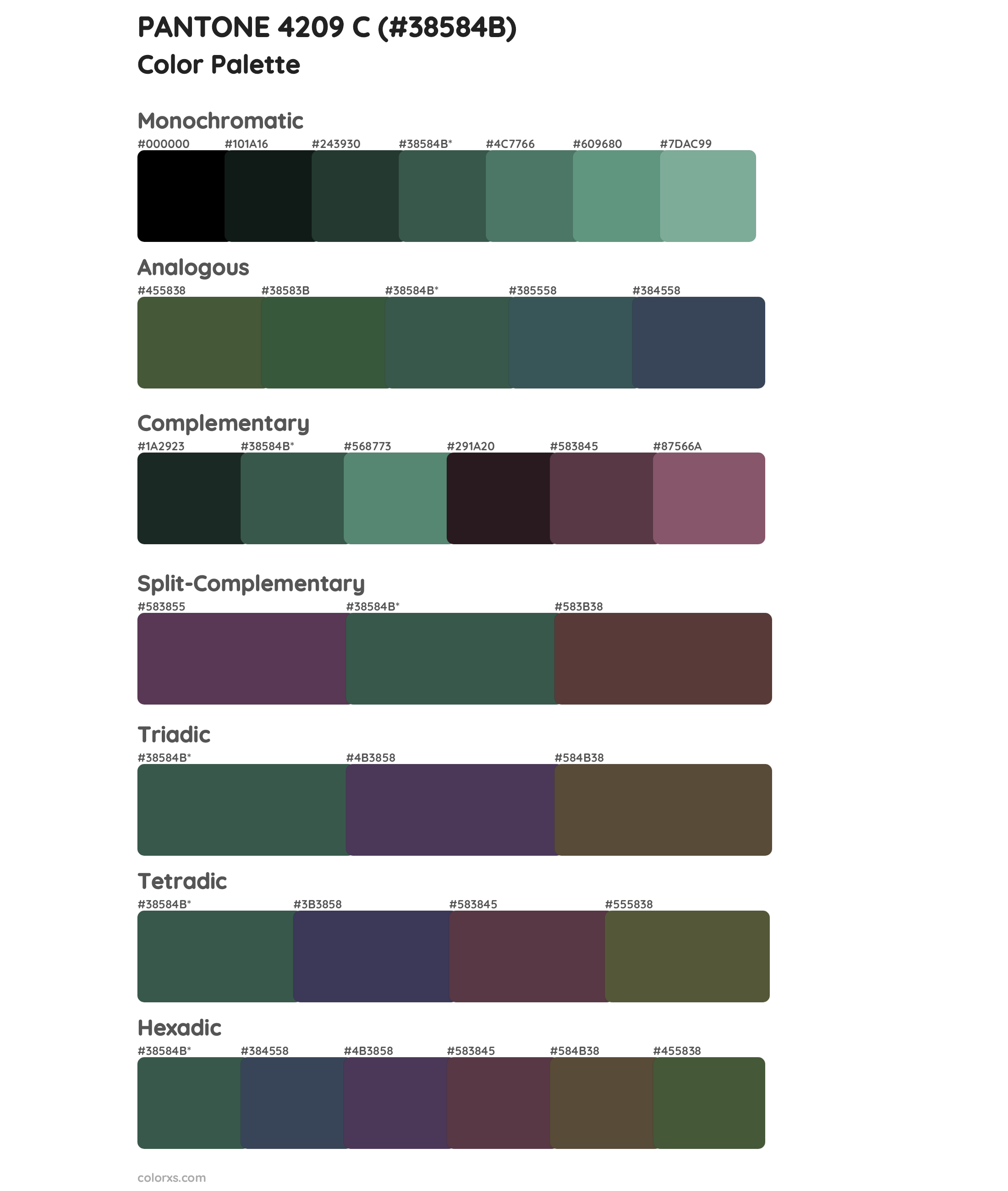 PANTONE 4209 C Color Scheme Palettes