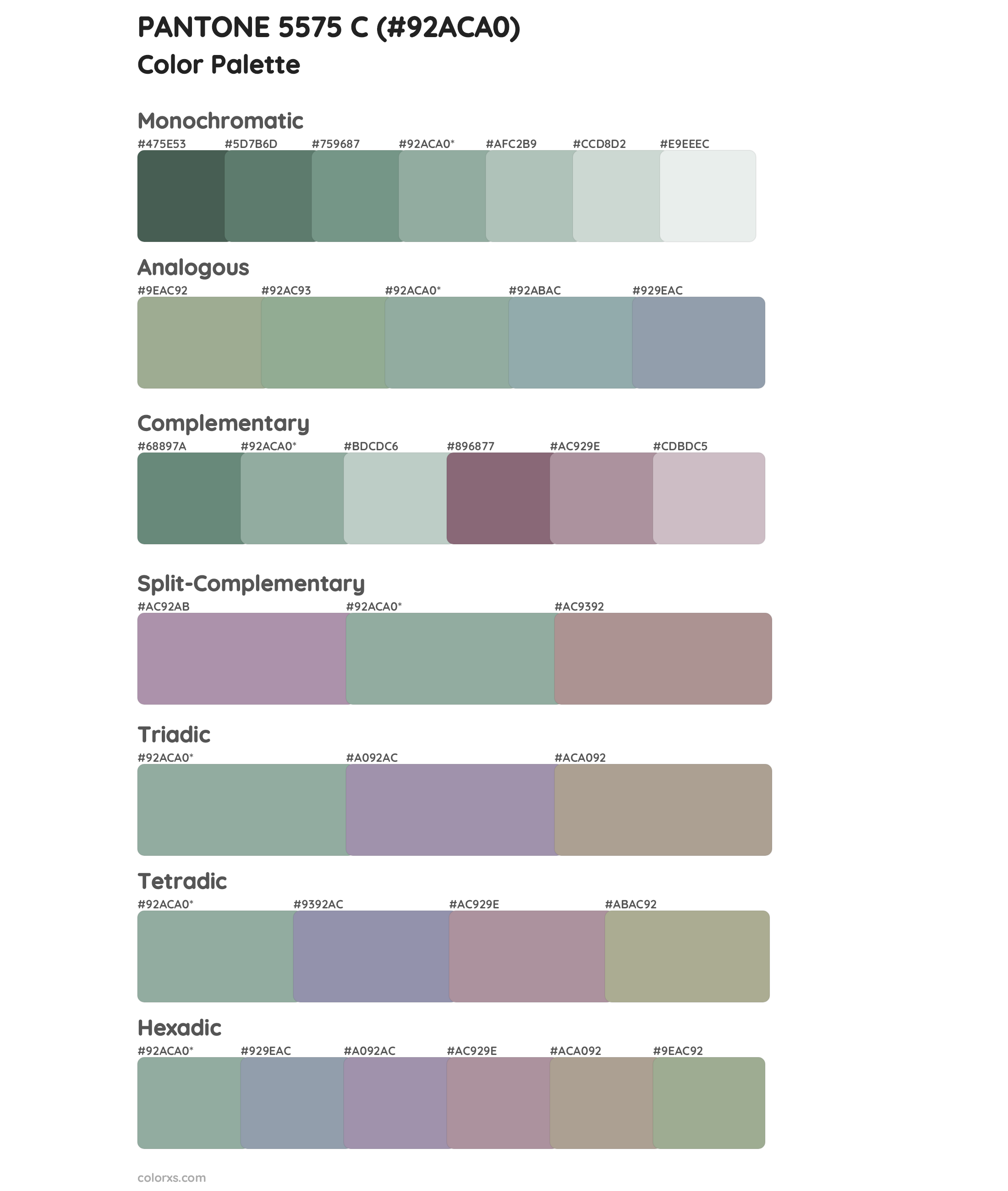 PANTONE 5575 C Color Scheme Palettes