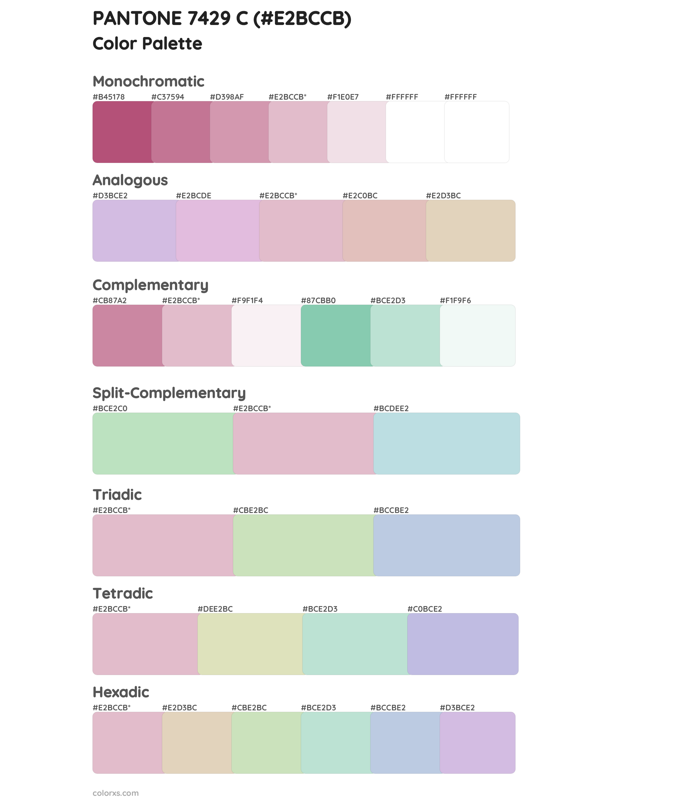 PANTONE 7429 C Color Scheme Palettes