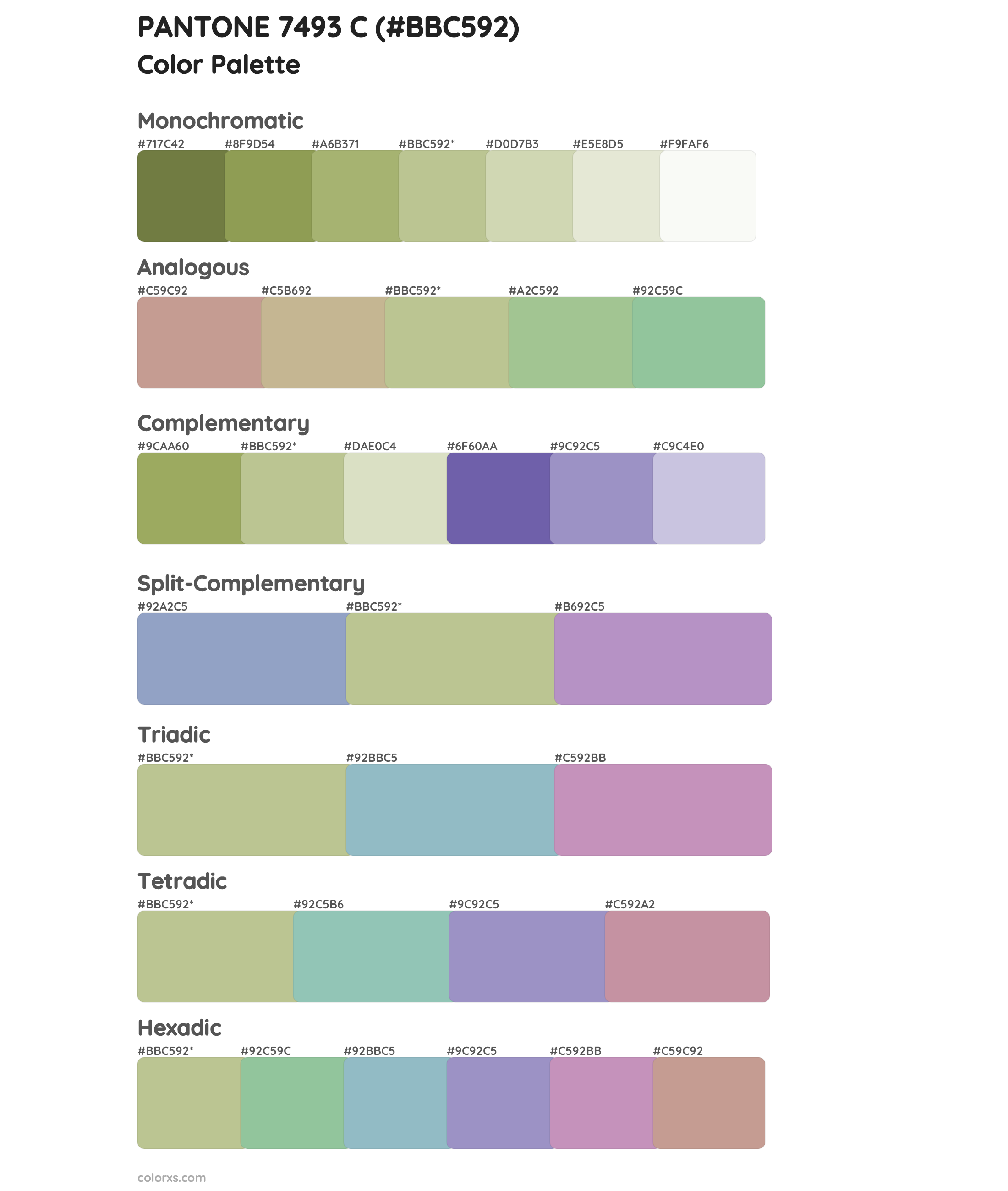 PANTONE 7493 C Color Scheme Palettes